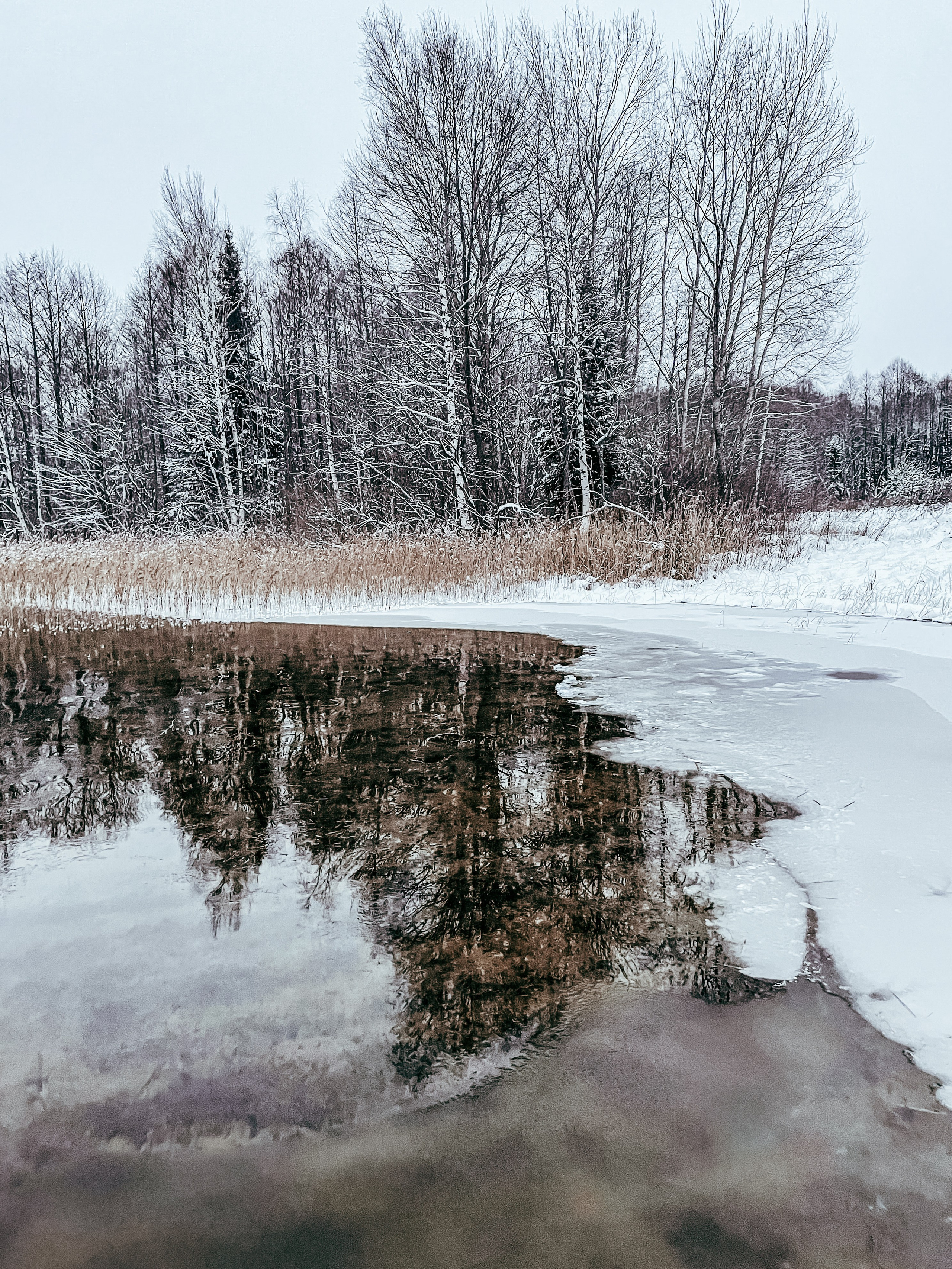 Пейзаж. Фотограф Олеся Шипихина г. Москва