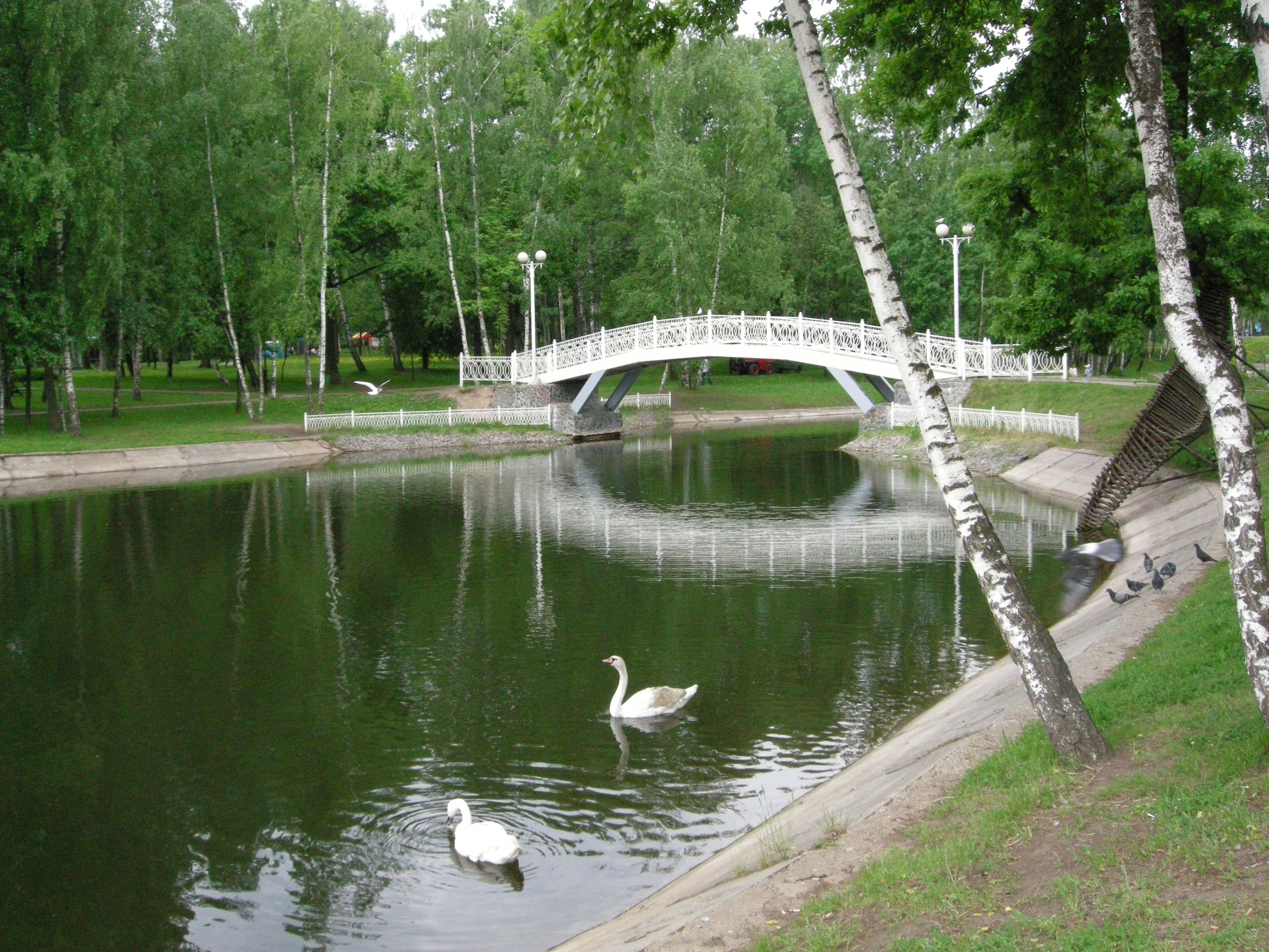 Красота осеннего парка!. Сайт фотографа Виталия Дени