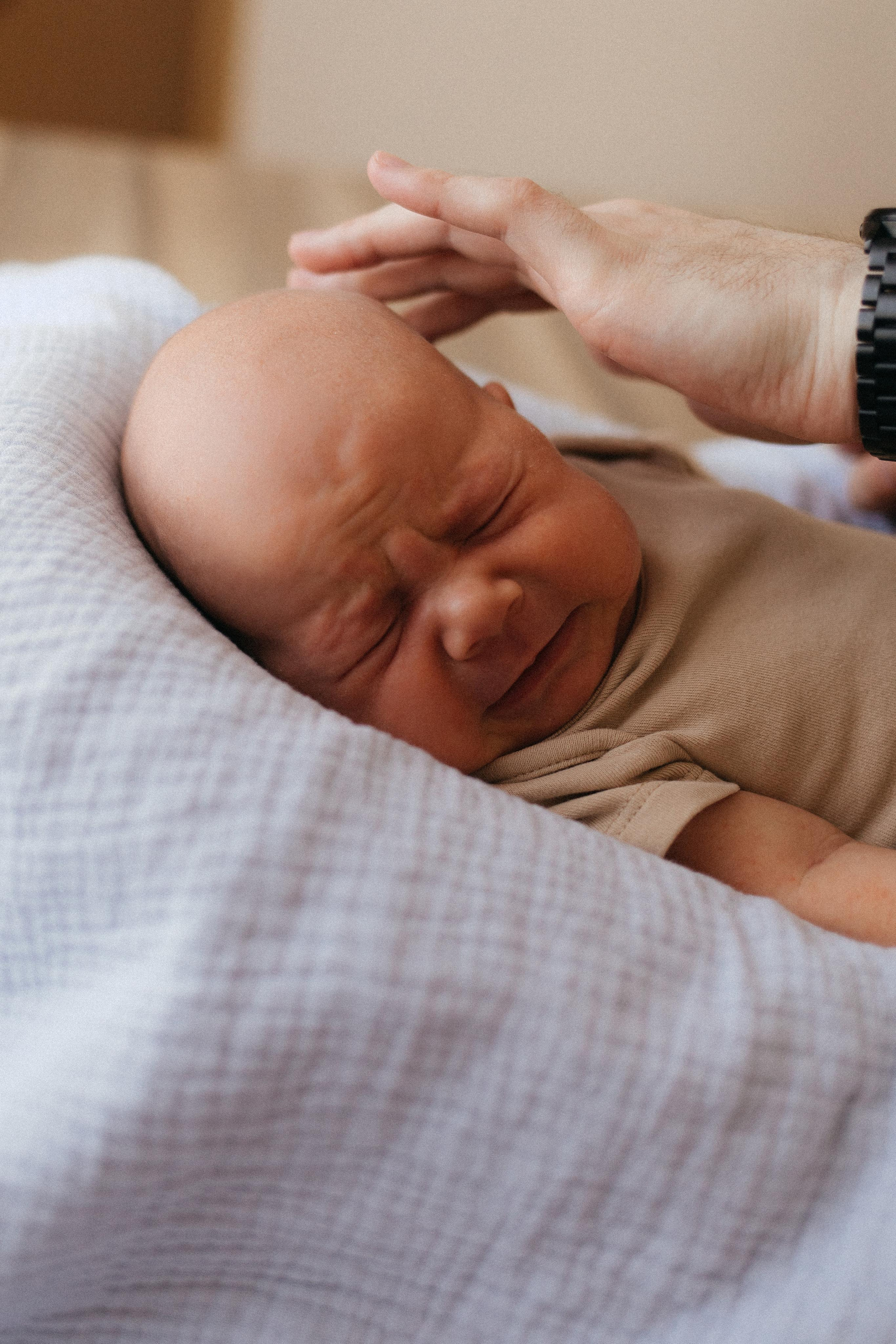 Даша, Миша и Лев. Главная