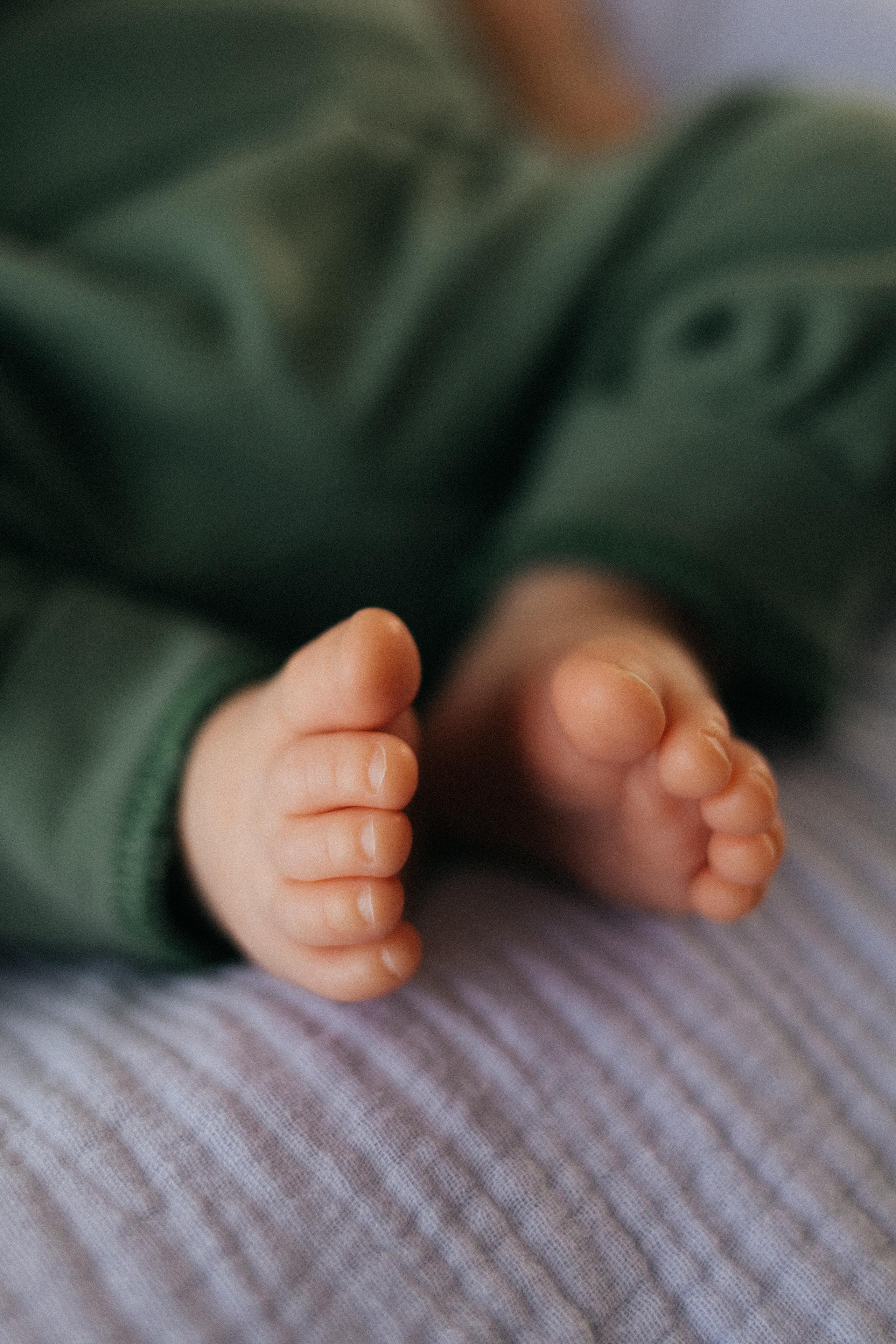 Даша, Миша и Лев. Главная