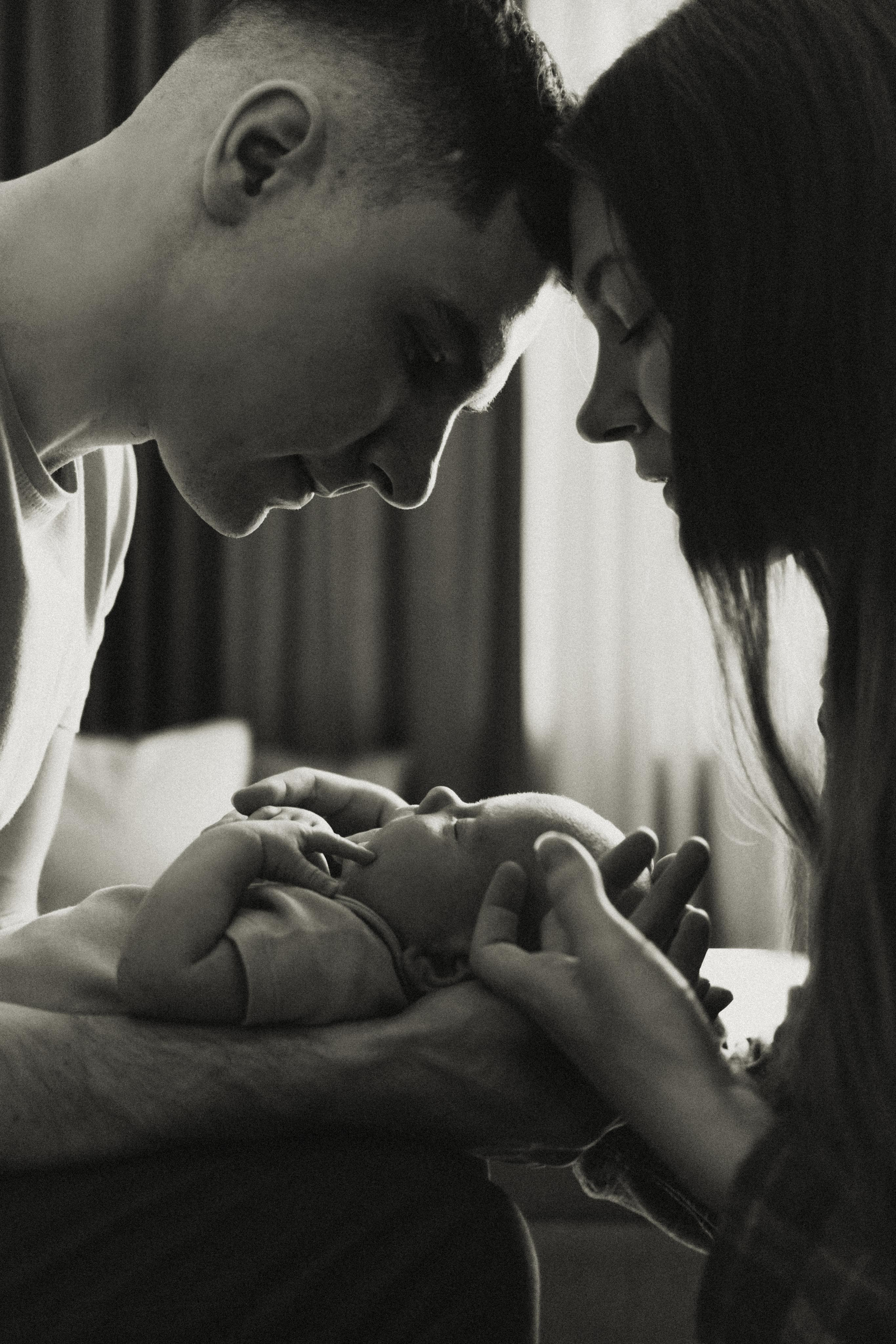 Даша, Миша и Лев. Главная