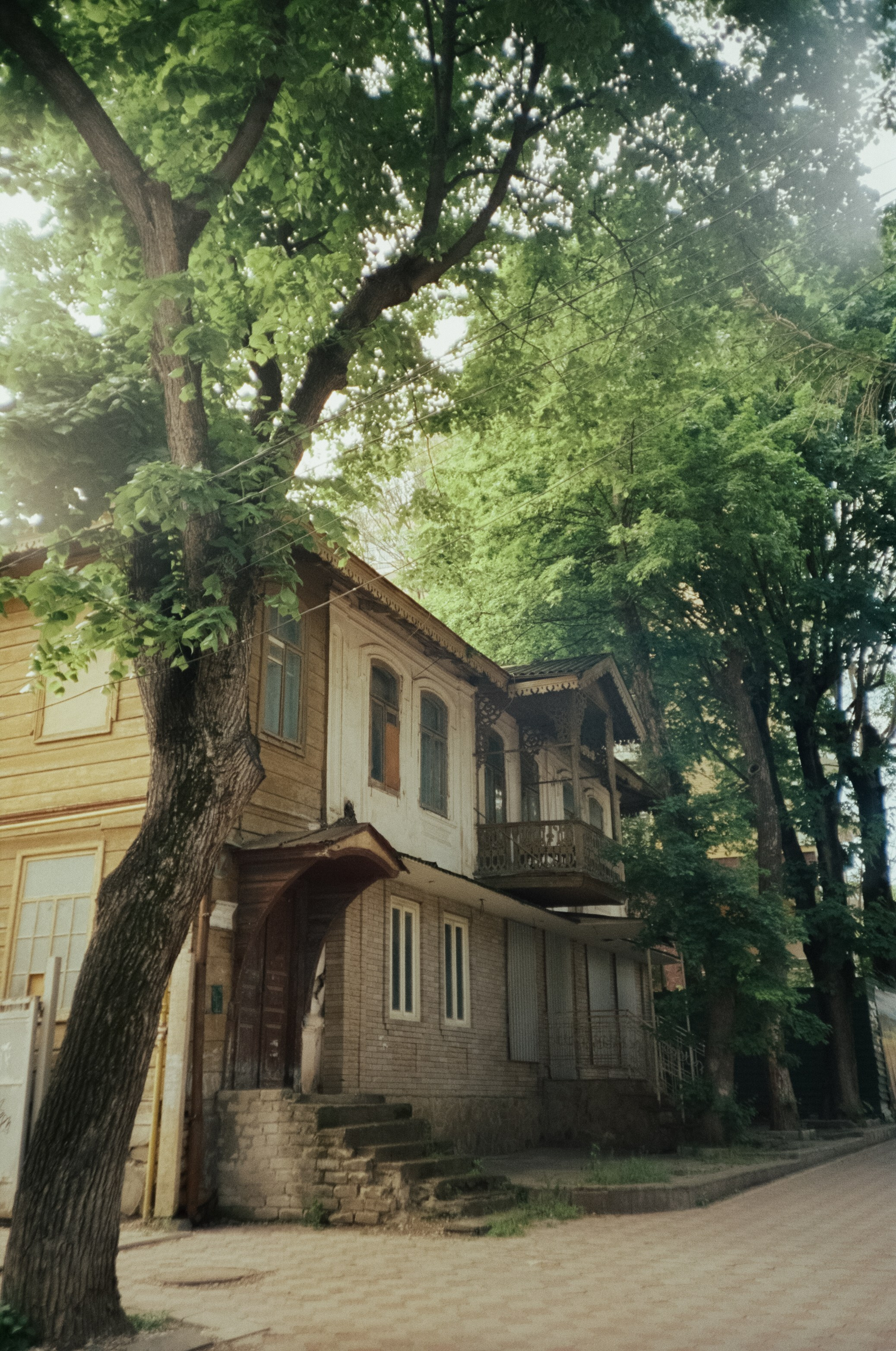 Солнечные Ессентуки. Курортный парк, стрит и кот в окне. Фотограф-документалист Мария Осокина