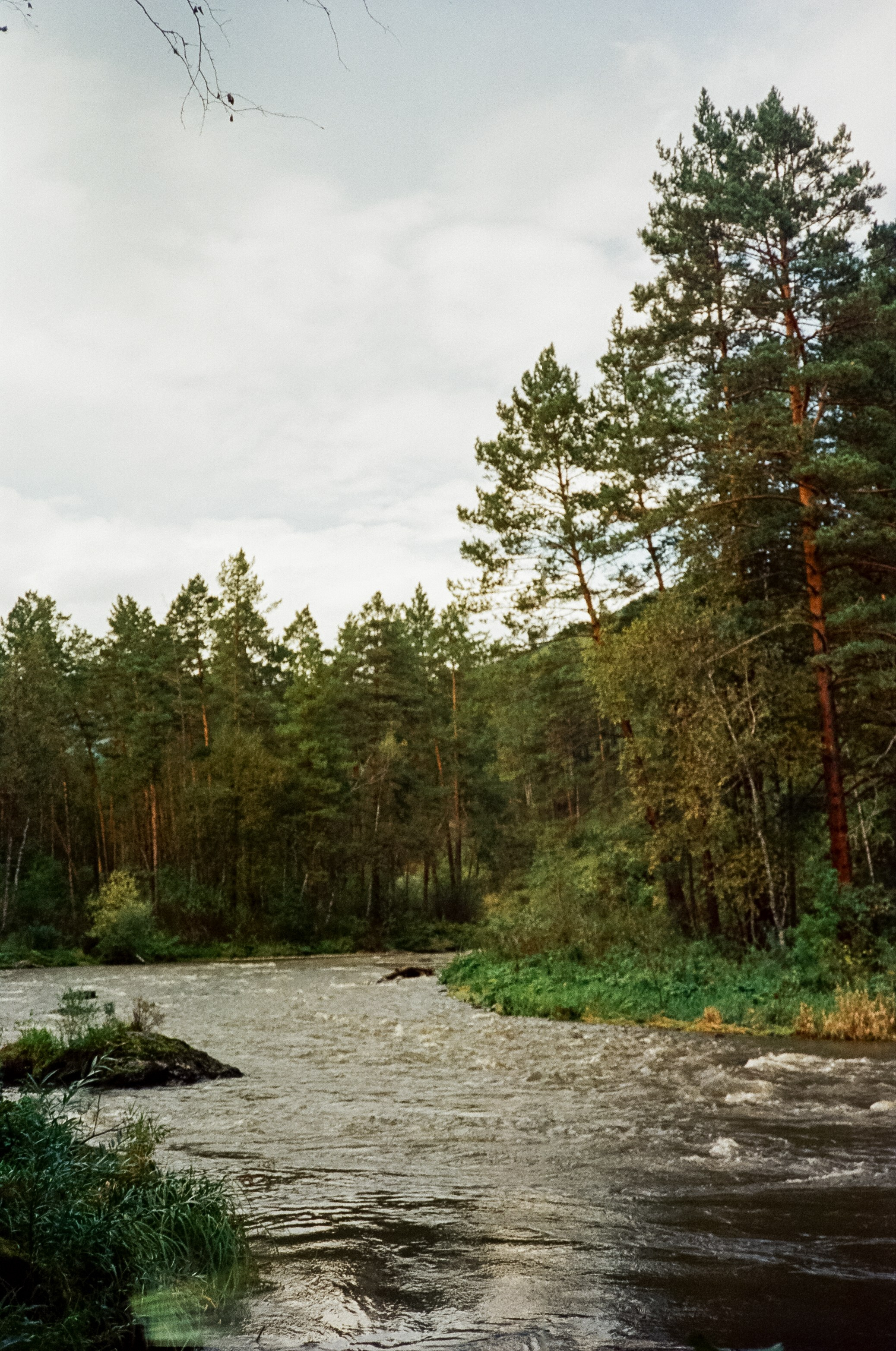 Ботанический сад и река Сема. Фотограф-документалист Мария Осокина