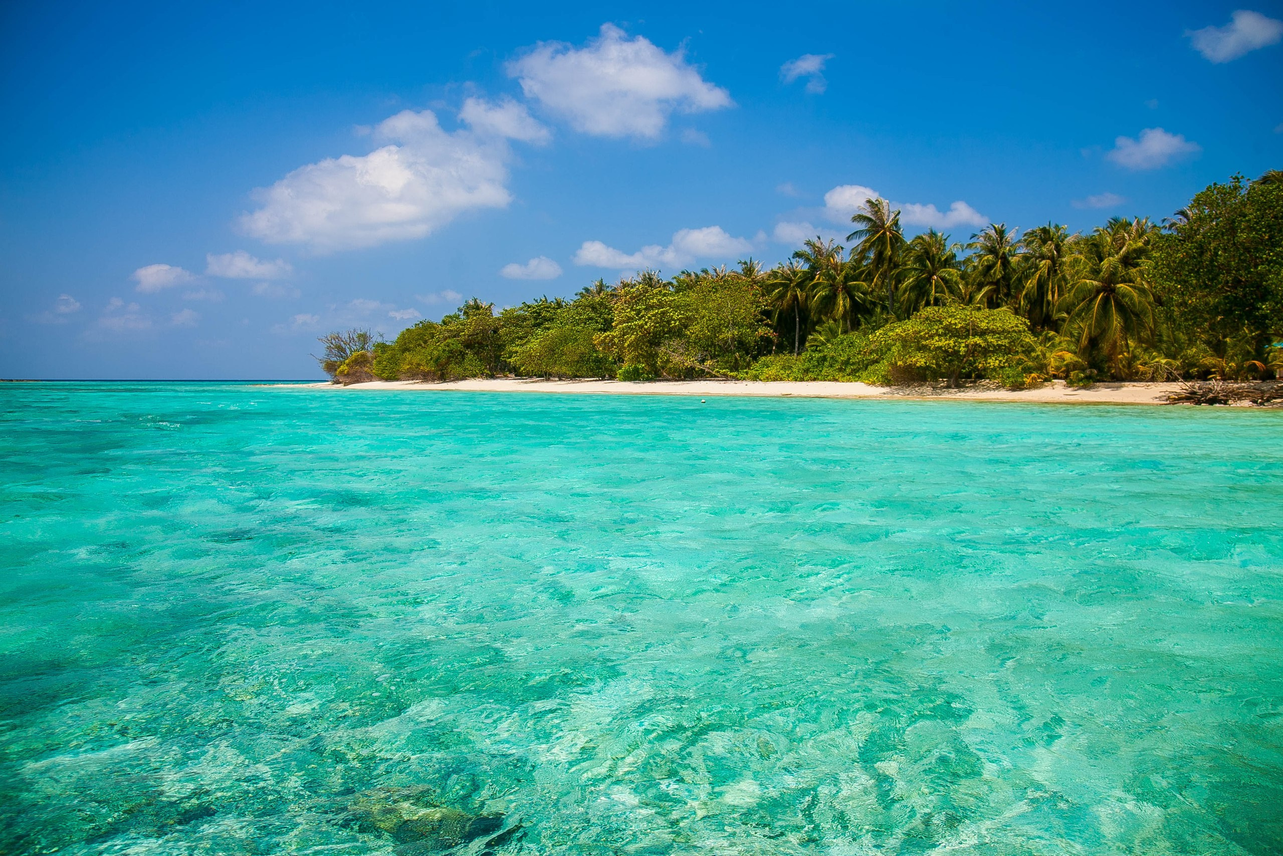 Пейзажи. Фотограф Мельник Ирина. Москва