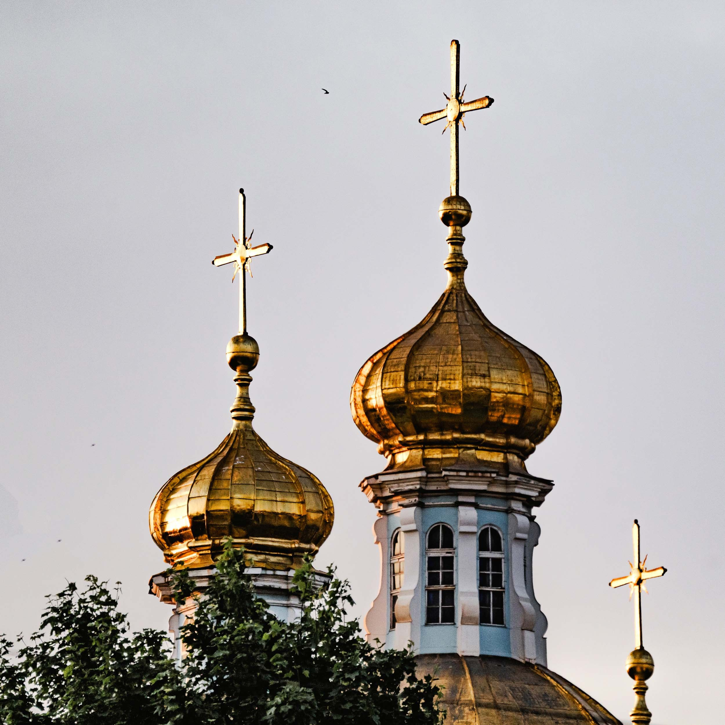 Saint Petersburg. The Andris