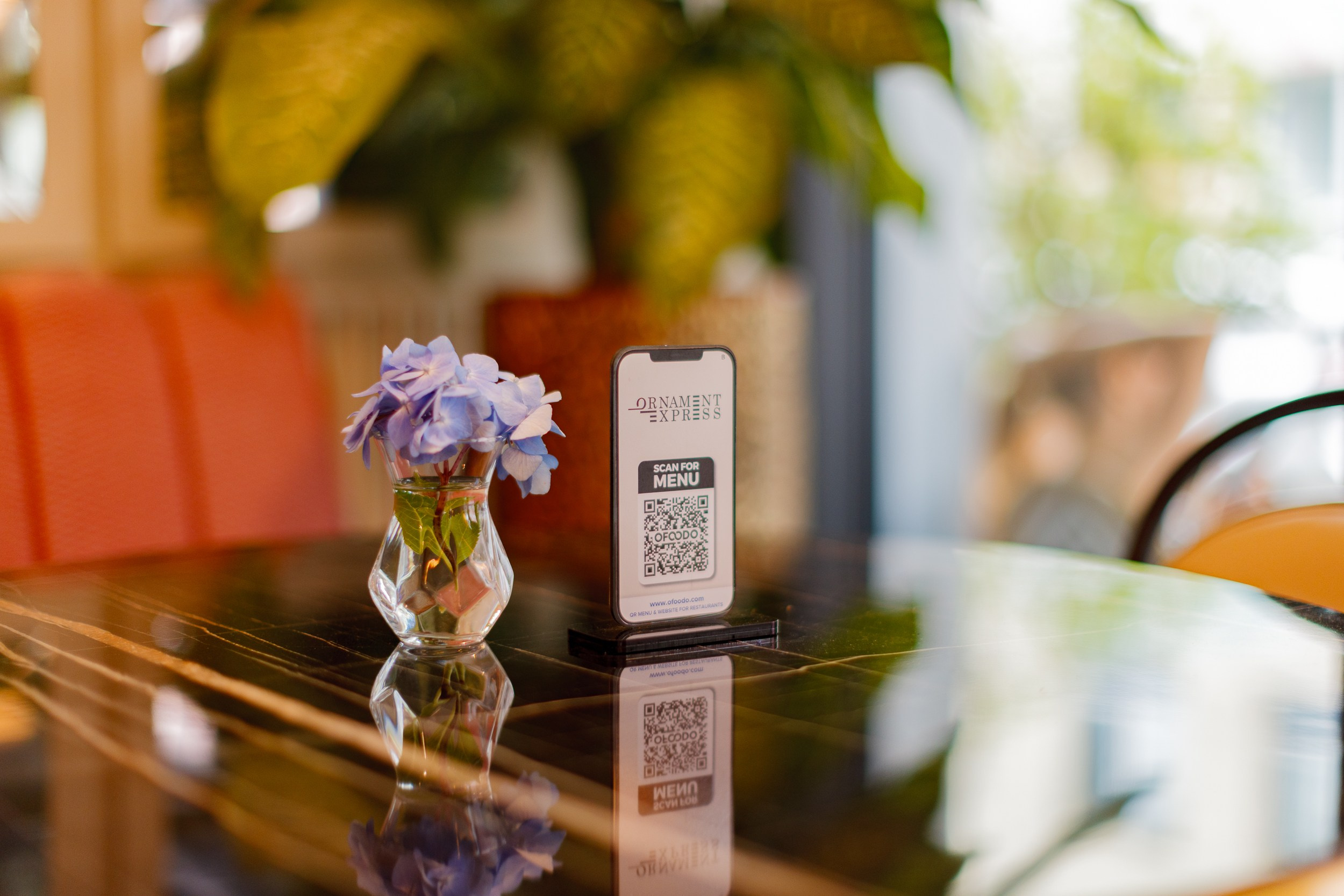 HOTEL PIAZZA EPIGRAPH (BATUMI). Режиссёр, клипмейкер, фотограф — Андрей Охота