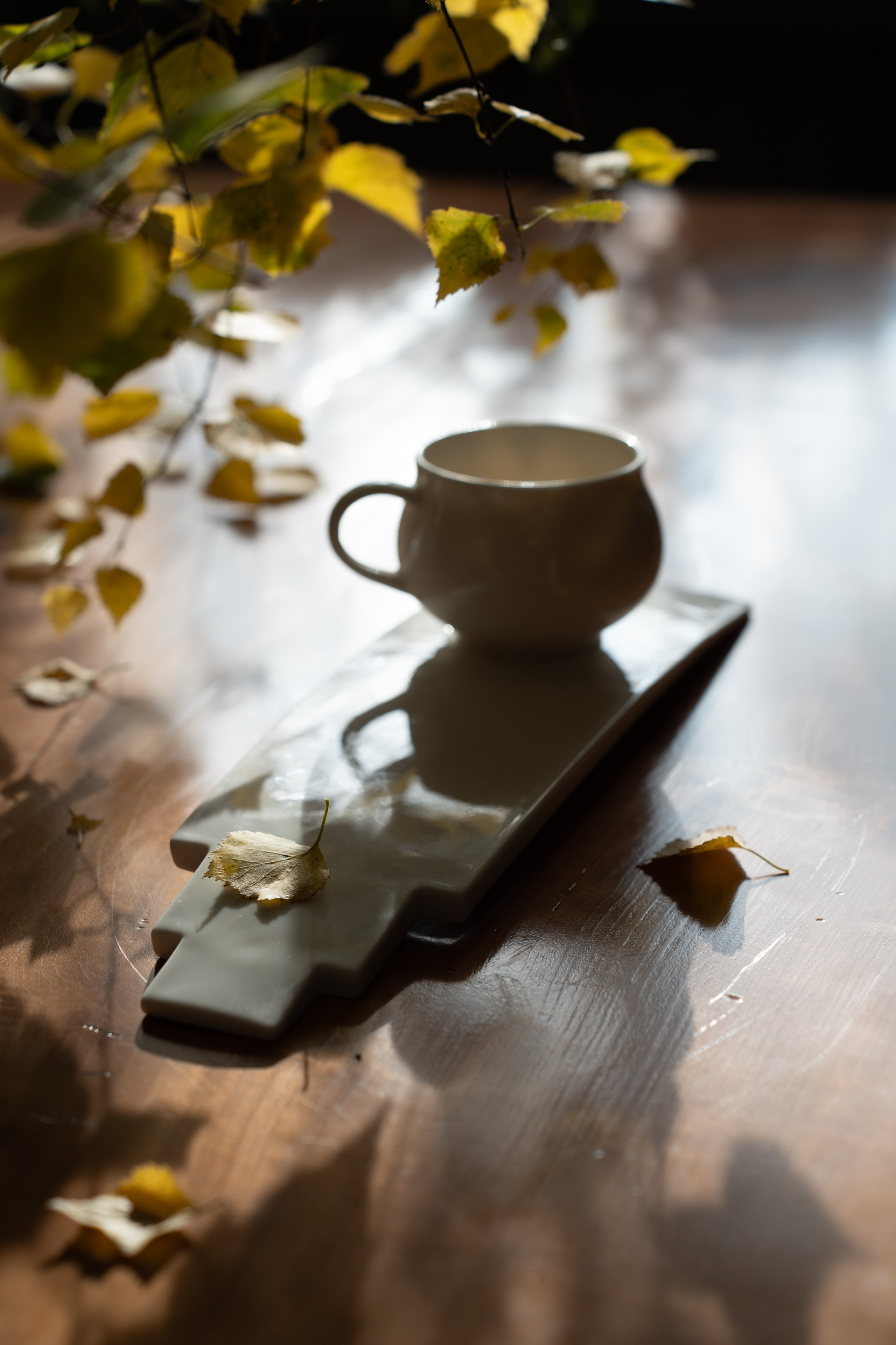 Фарфоровая посуда: Чайная пара «Лемех». Съемки для бизнеса в Москве