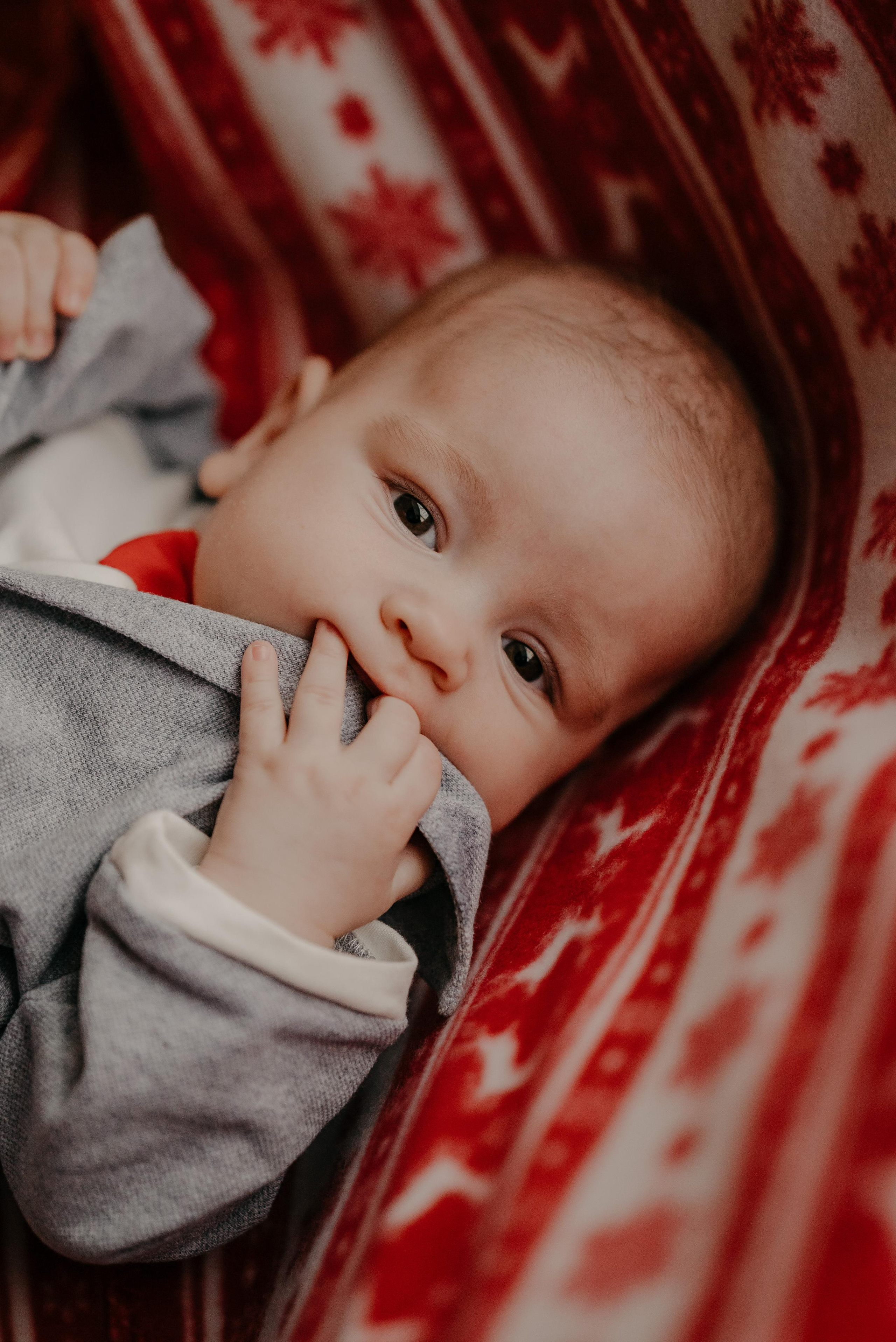 Фотосессия с маленьким дедом морозом!. Фотостудия во Всеволожске. Подходит для всех творческих проектов