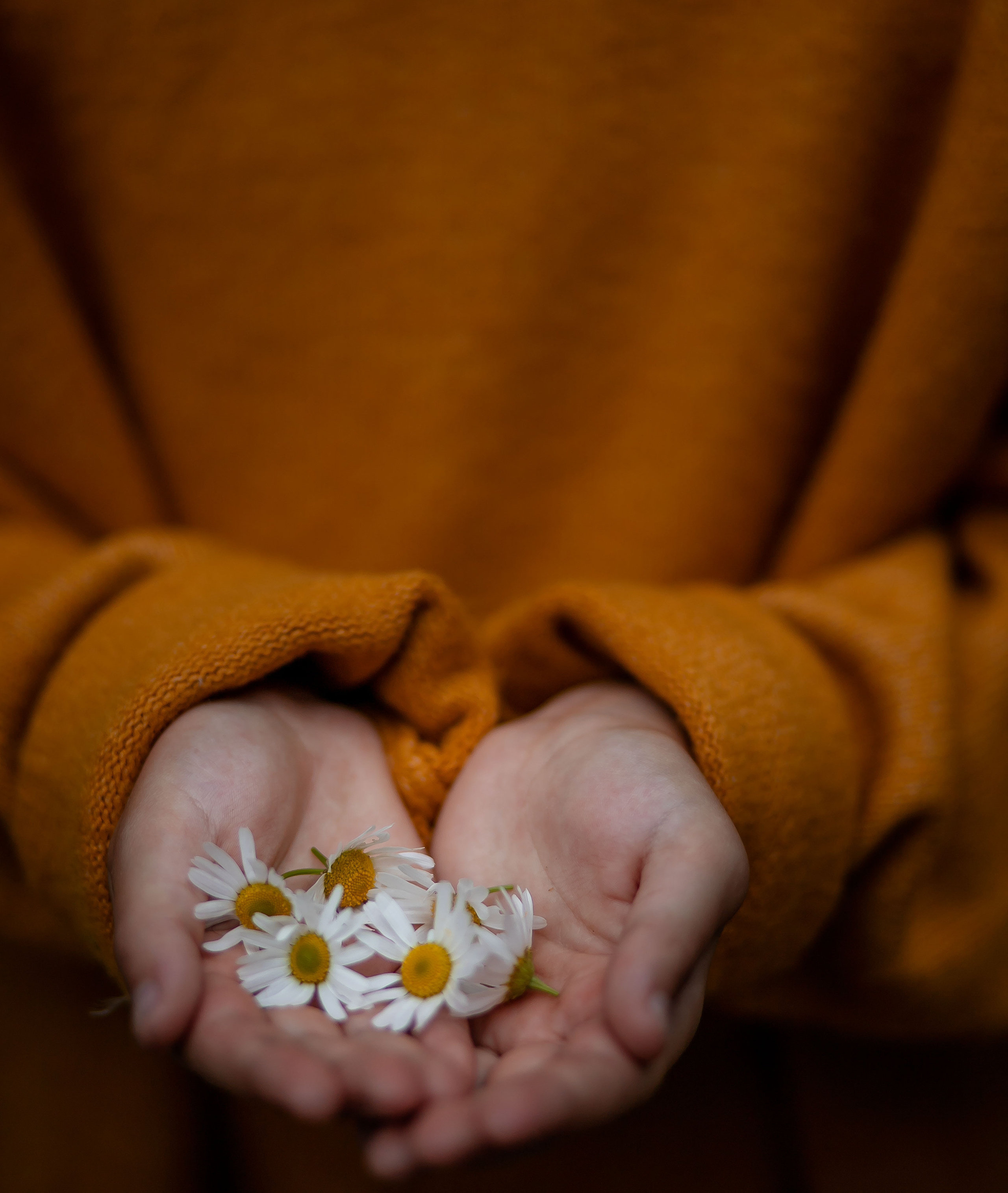 Портретный фотограф Ивона. Фотостудия во Всеволожске. Подходит для всех творческих проектов