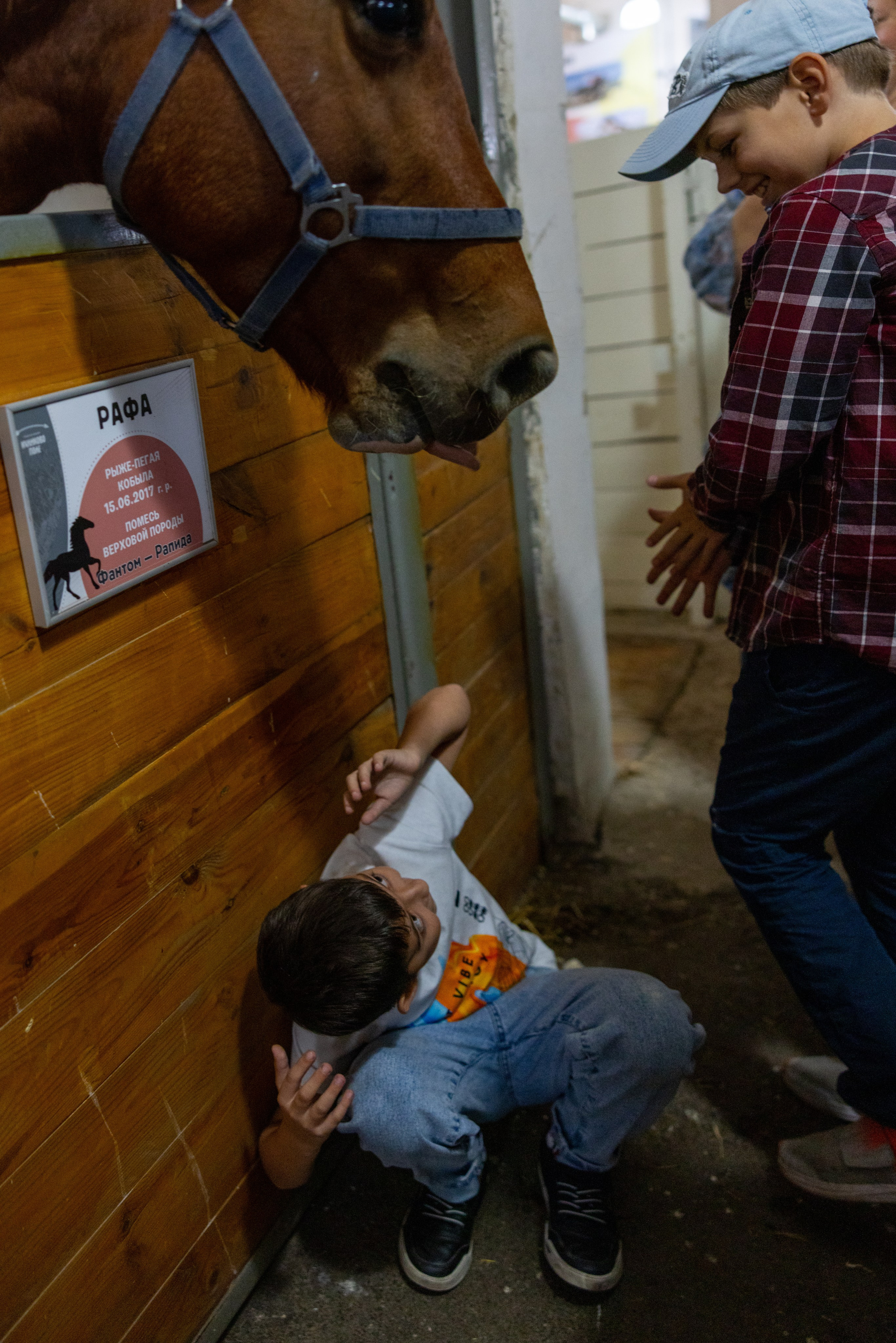 Поездка на поле Кулеково. Фотограф в Туле Крупский АнДРей. Фотостудия «КАДР71» в Туле