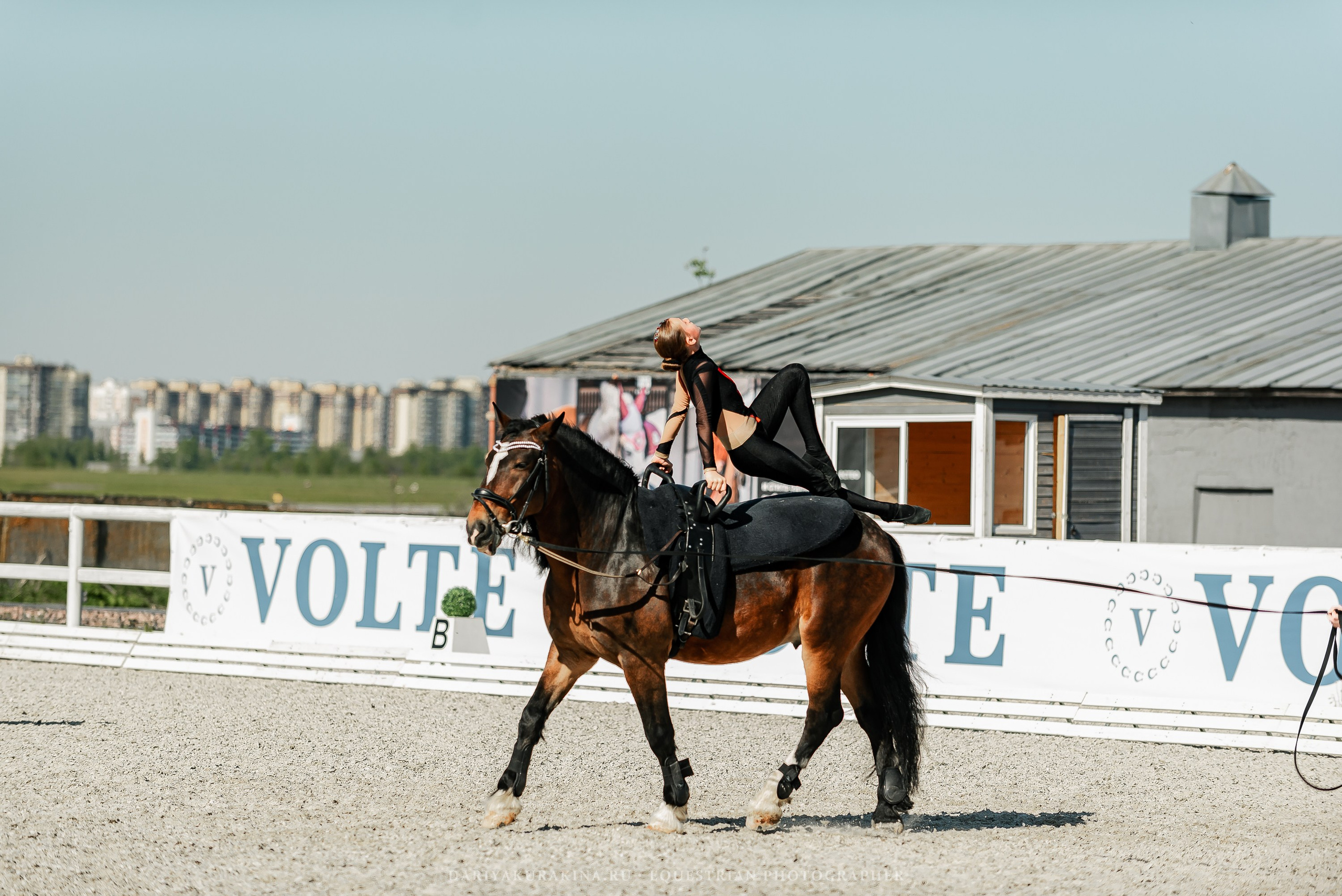РЕПОРТАЖ МКК ВОЛЬТ «LA TULIPS». Конный фотограф Куракина Дарья • Фотосессии с лошадьми
