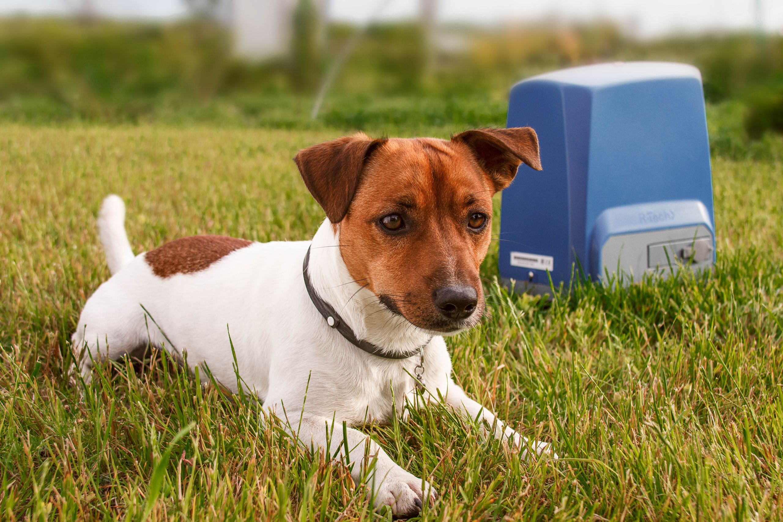 Предметная съёмка. Фотограф в Санкт-Петербурге