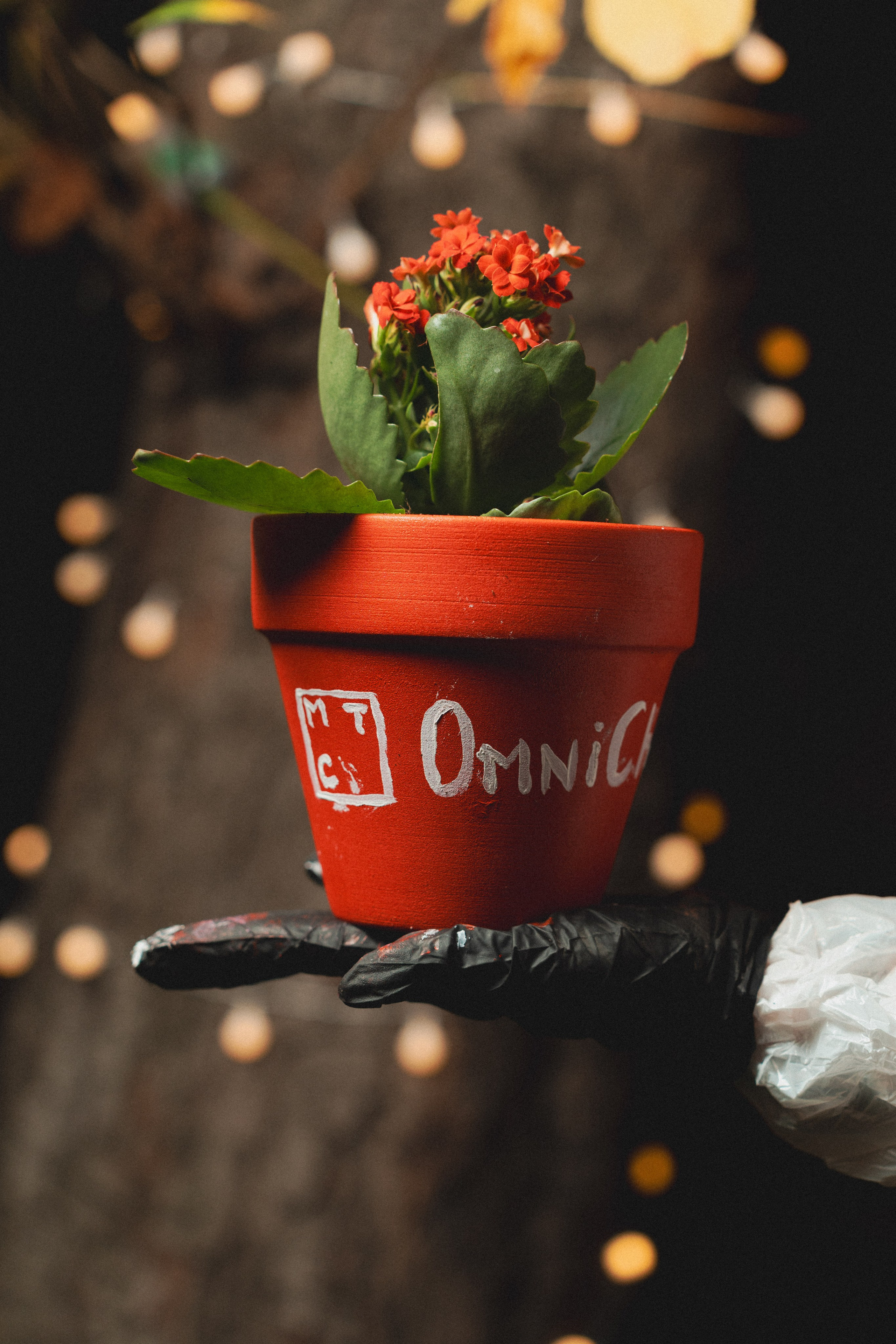 МТС / the dacha omni. Фотограф Москва Мария Бойцова