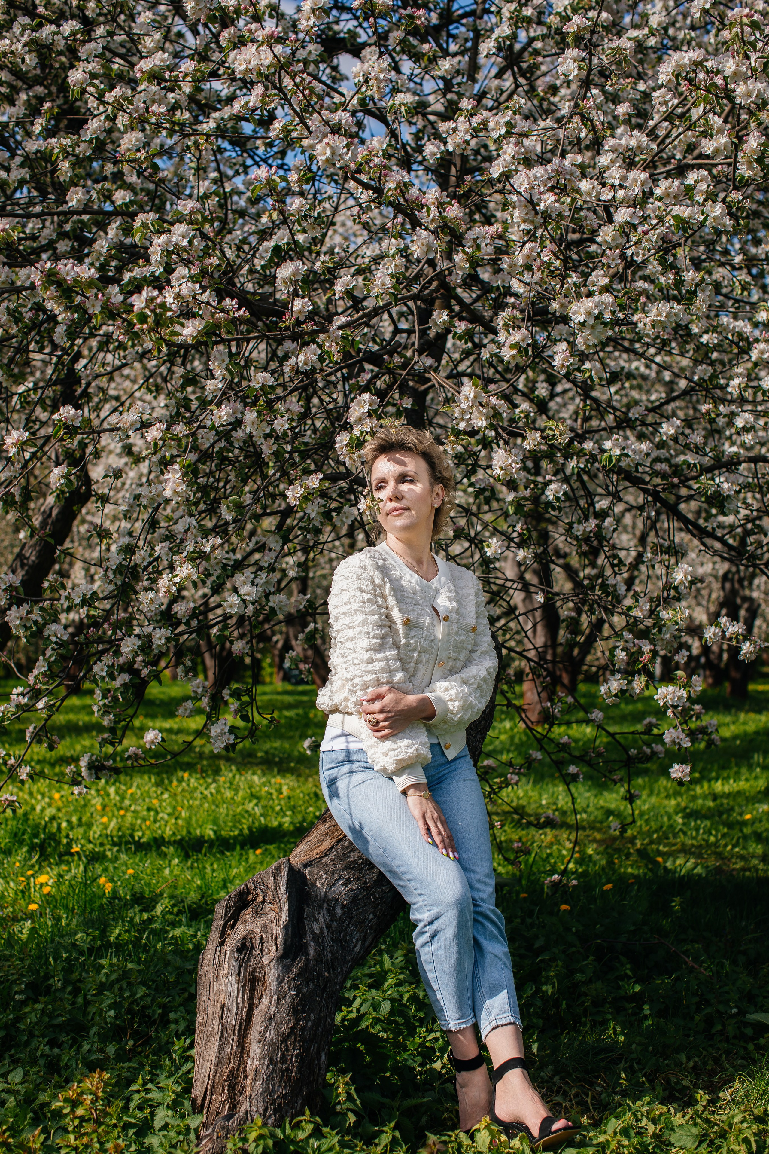 Цветение. Анастасия Давыдова