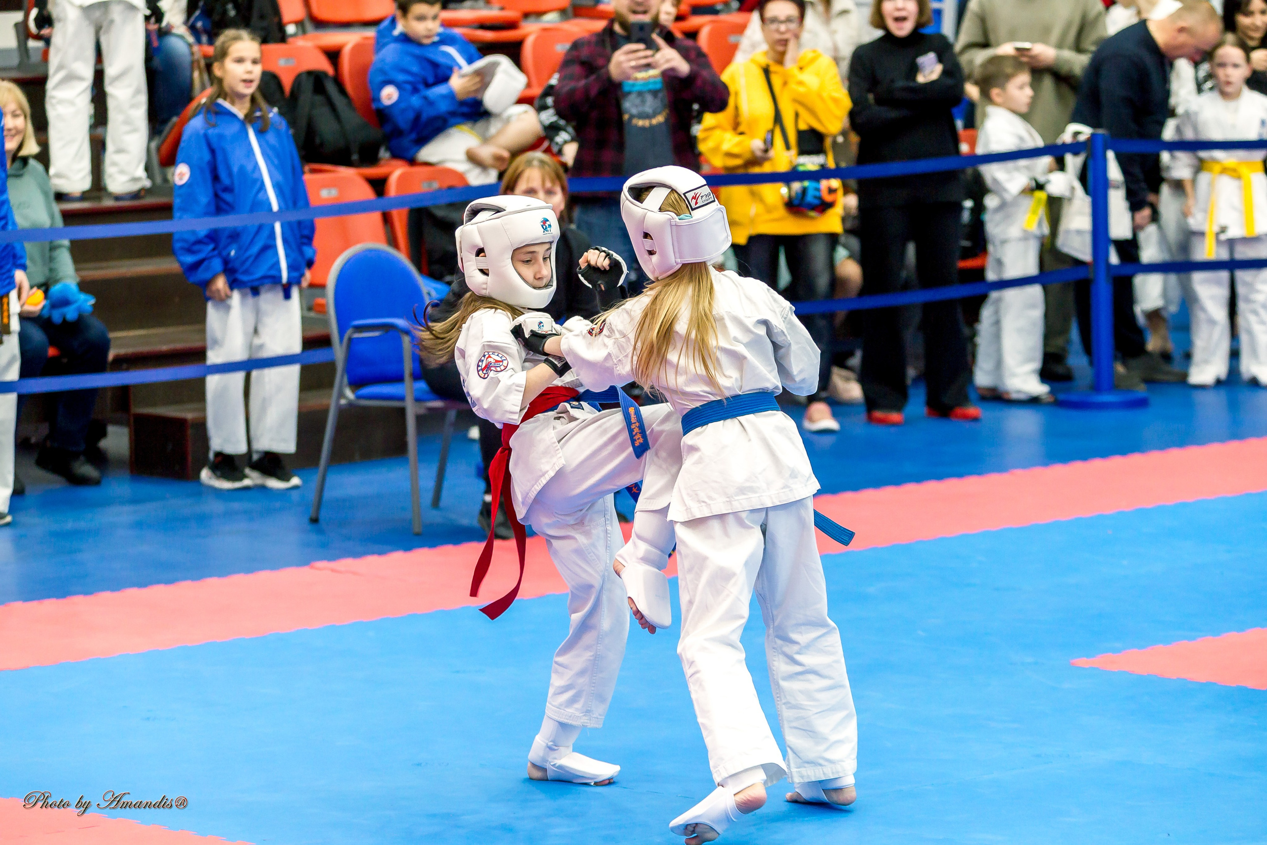 Чемпионат по Киокушинкай Центрального Федерального округа. Репортажная съемка в Москве и области. Анималистика