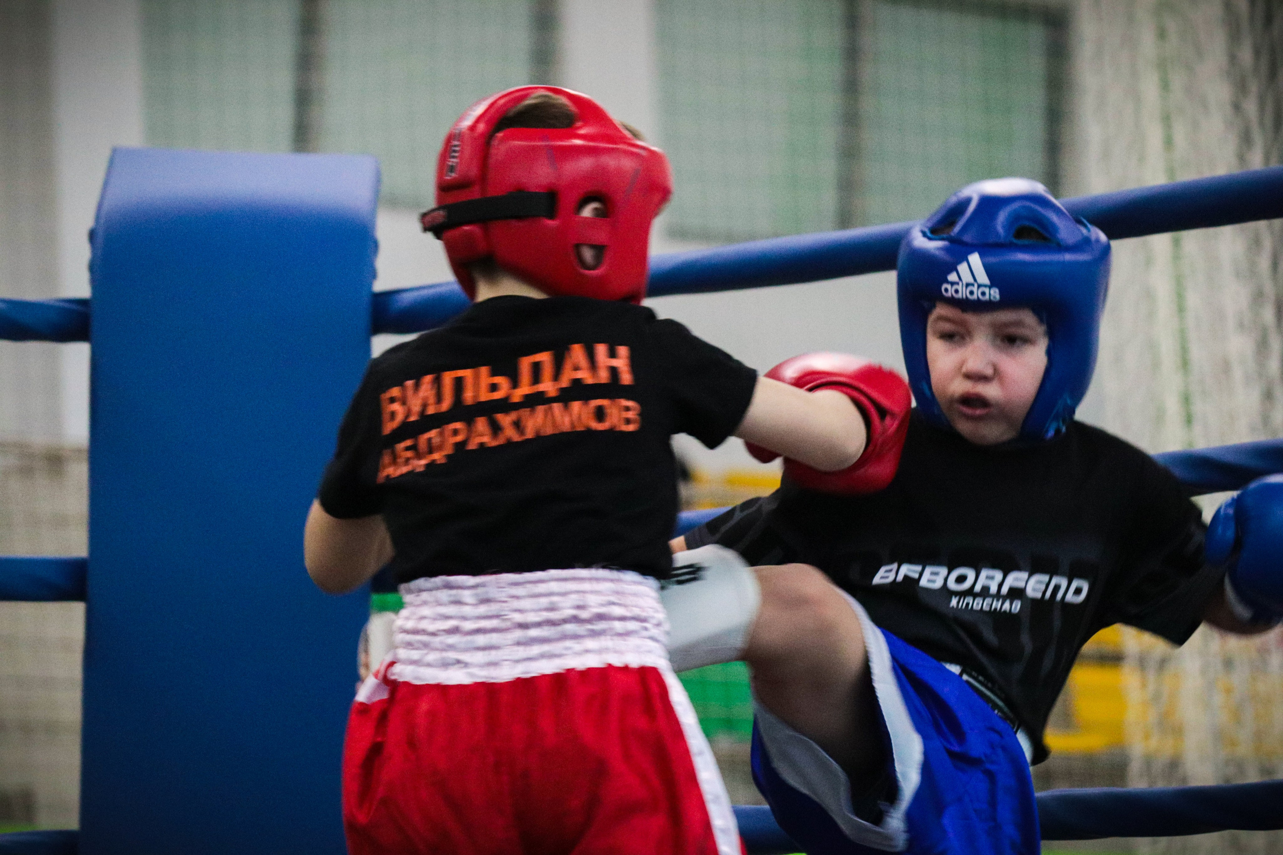 Туртир по кикбоксингу. Фотограф и видеограф в Бугульме Аня Трутнева