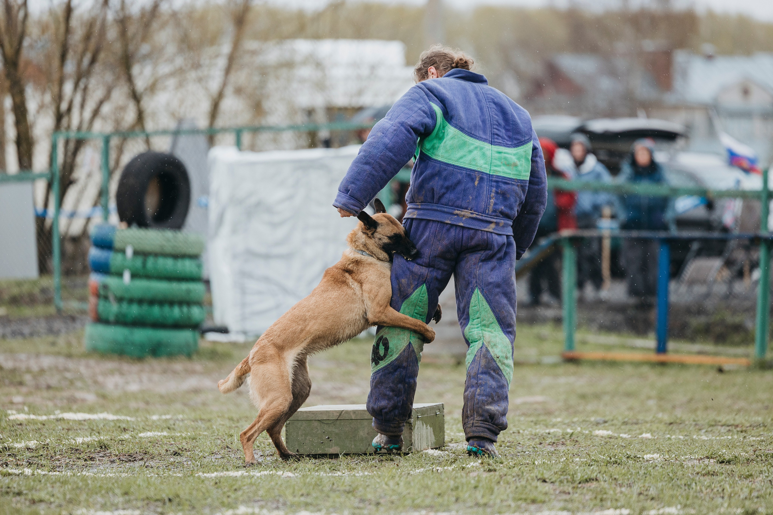 09.05.25 Вологда соревнования. Фотограф-анималист Анна Маринич