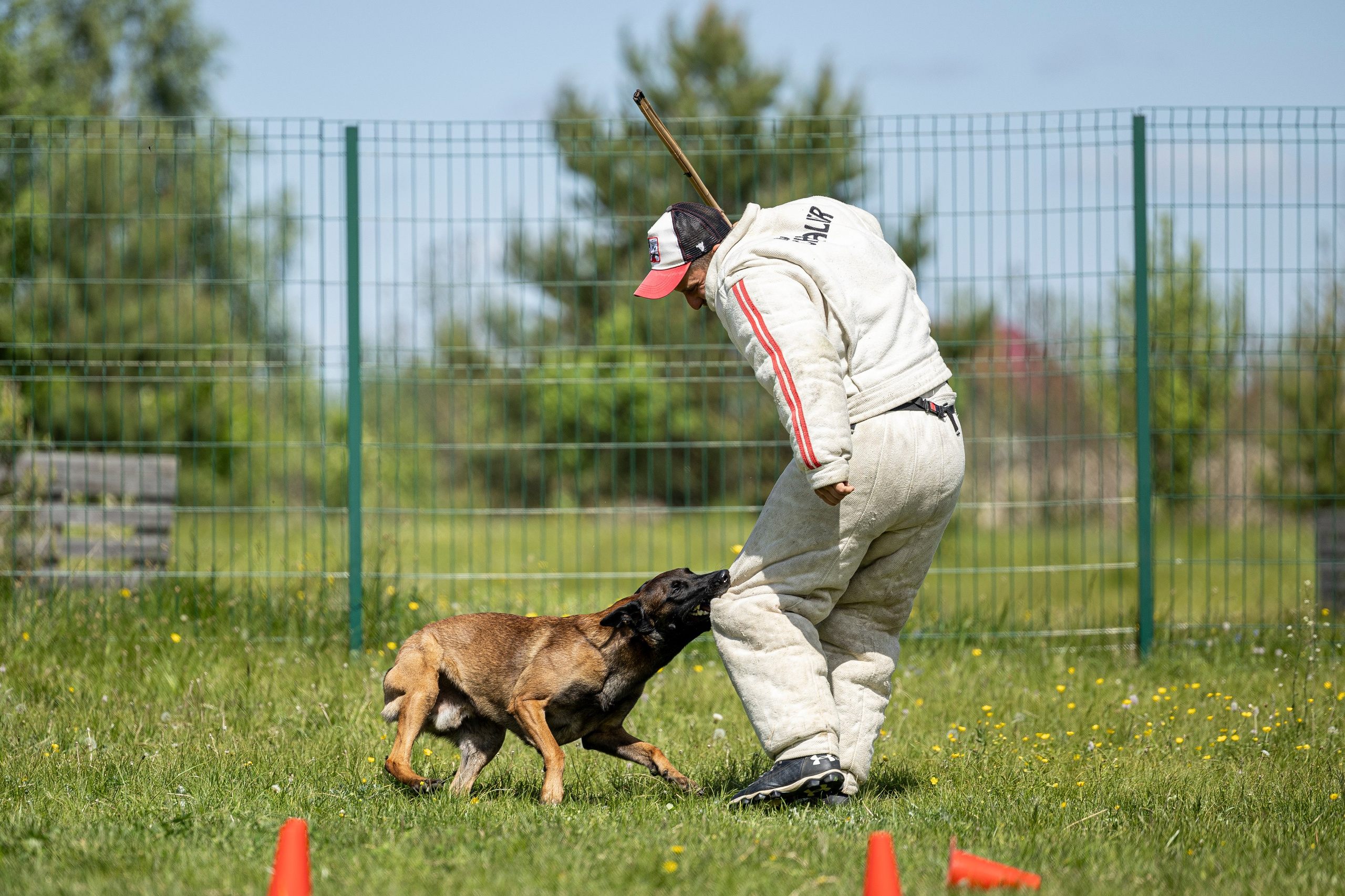 Испытания по мондьорингу в Нижнем Новгороде. Фотограф-анималист Анна Маринич