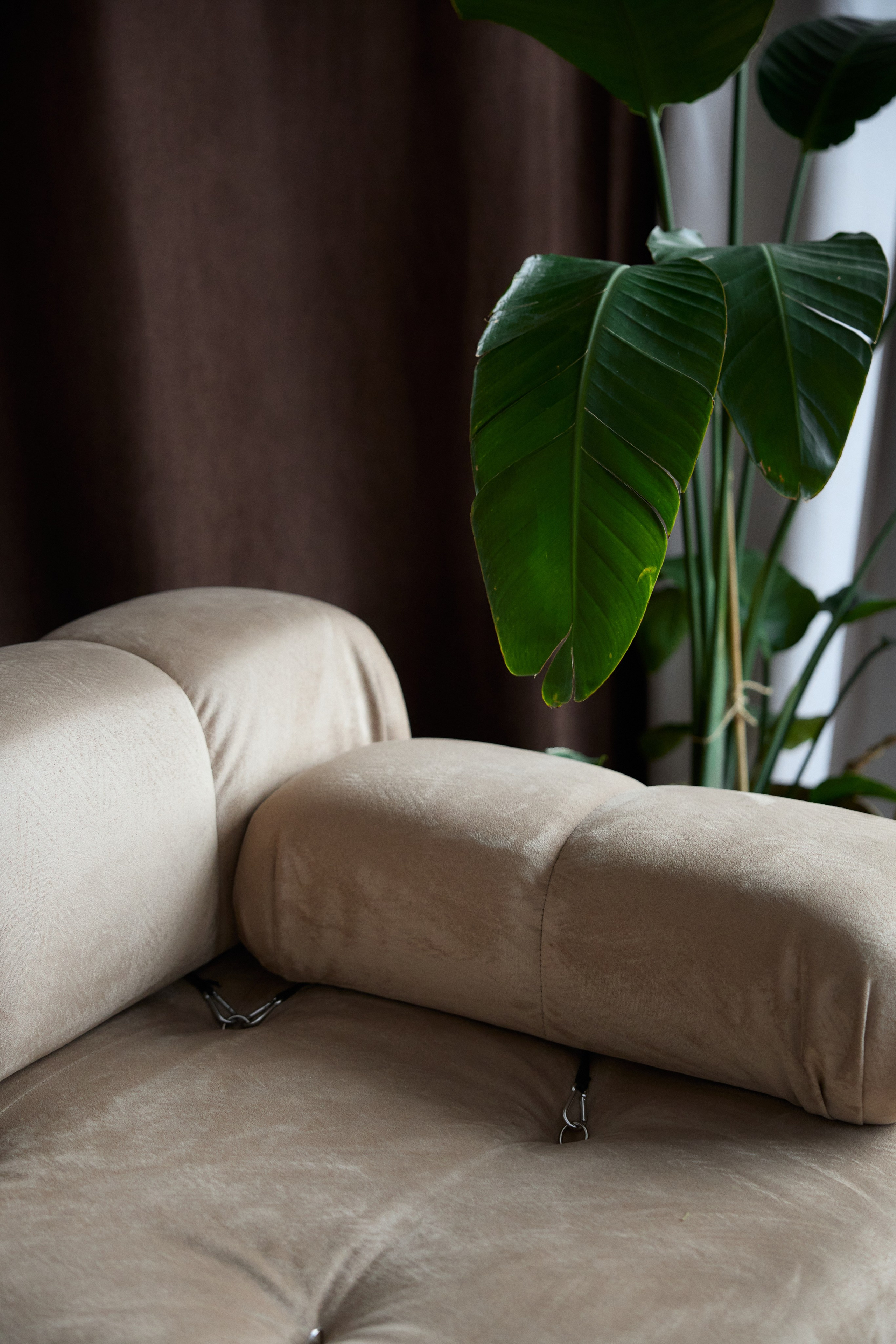 Фотостудия формат в Сургуте для ваших лучших фотосессий