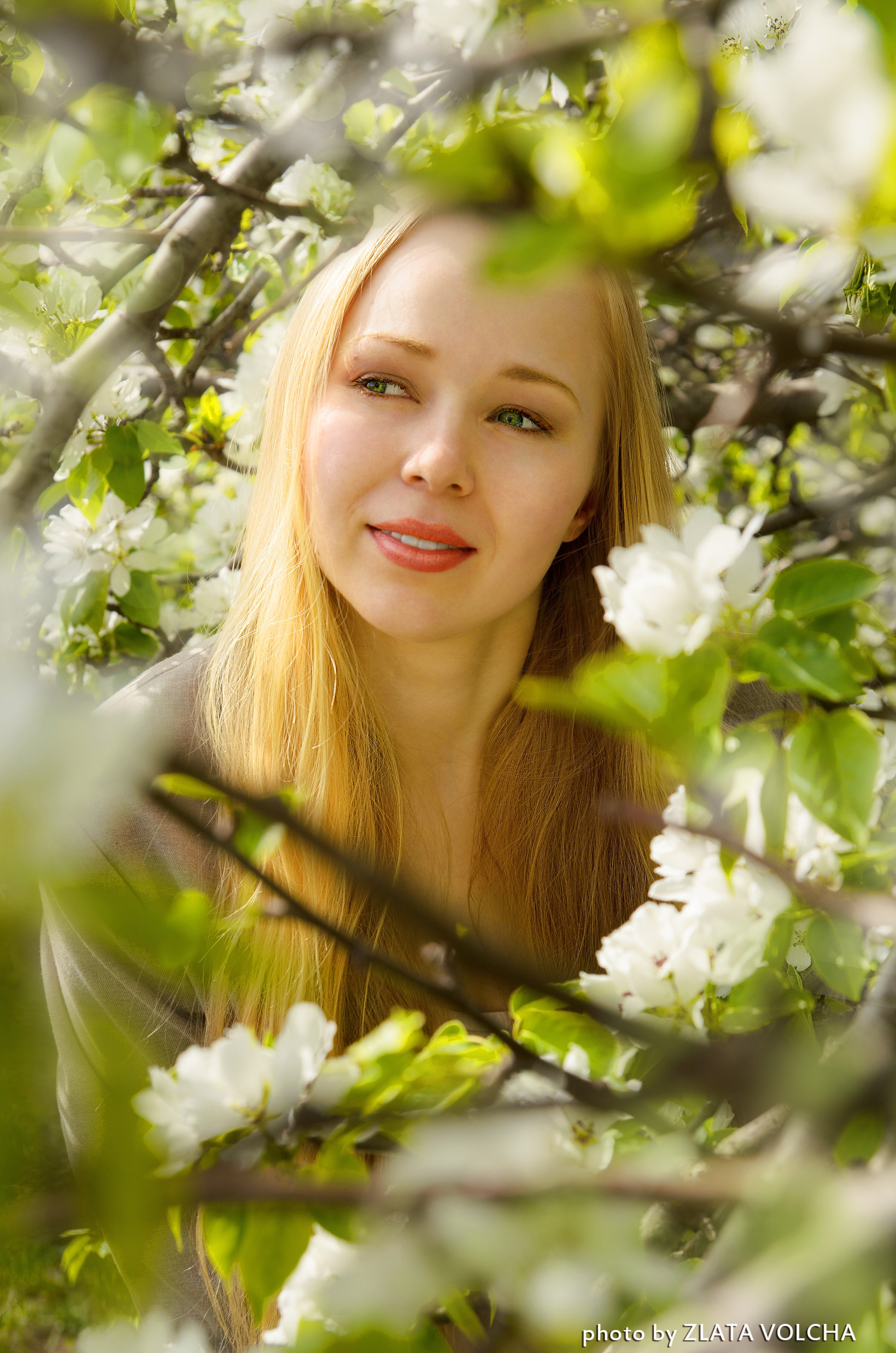 Портрет. Фото, видео, монтаж