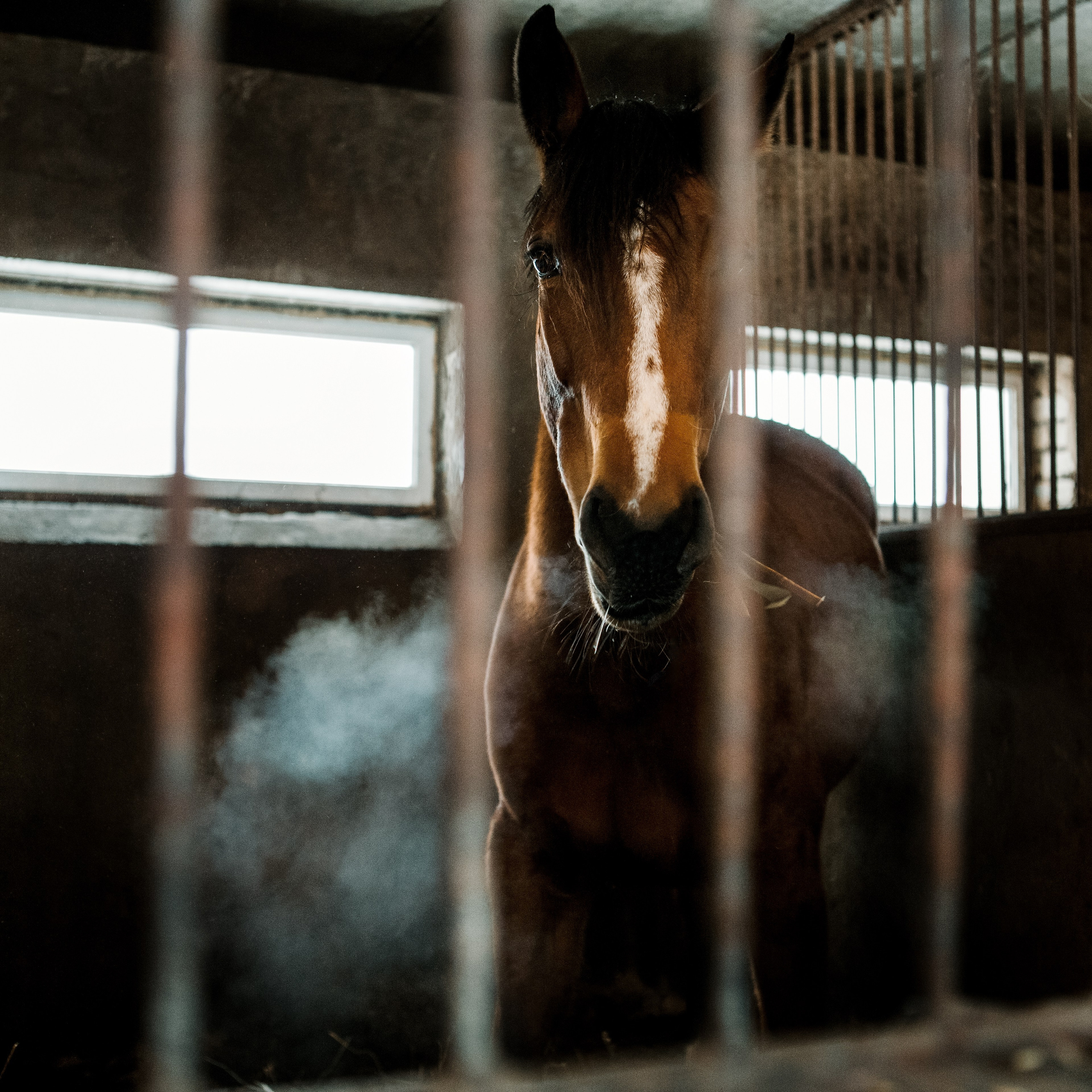 Мысли вслух. Январь. Детский, семейный и школьный фотограф Смоленск Москва Влад Старов