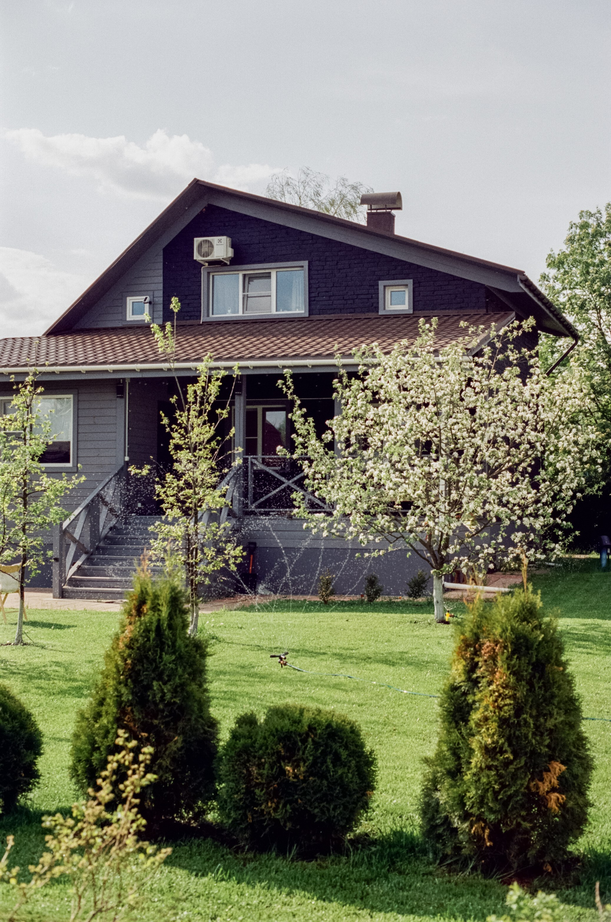 Nikon F100 — Micro-Nikkor-P.C Auto 55 mm f3.5 | май 2025 года | Давыдовское