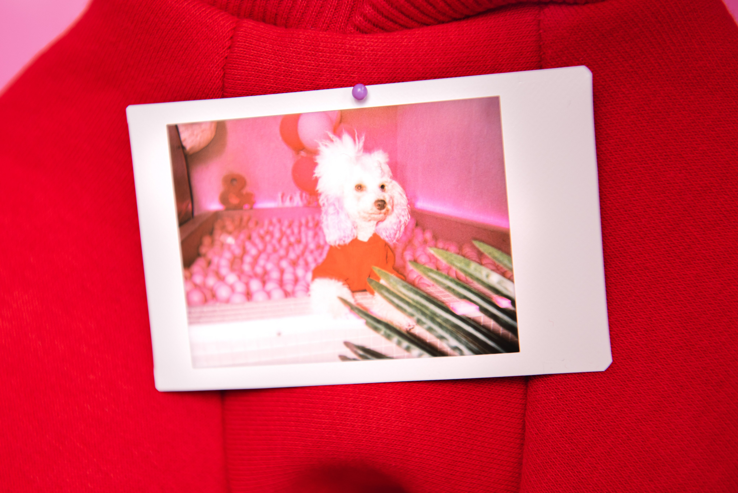 Предметные. Фотограф в Москве Daria Lens