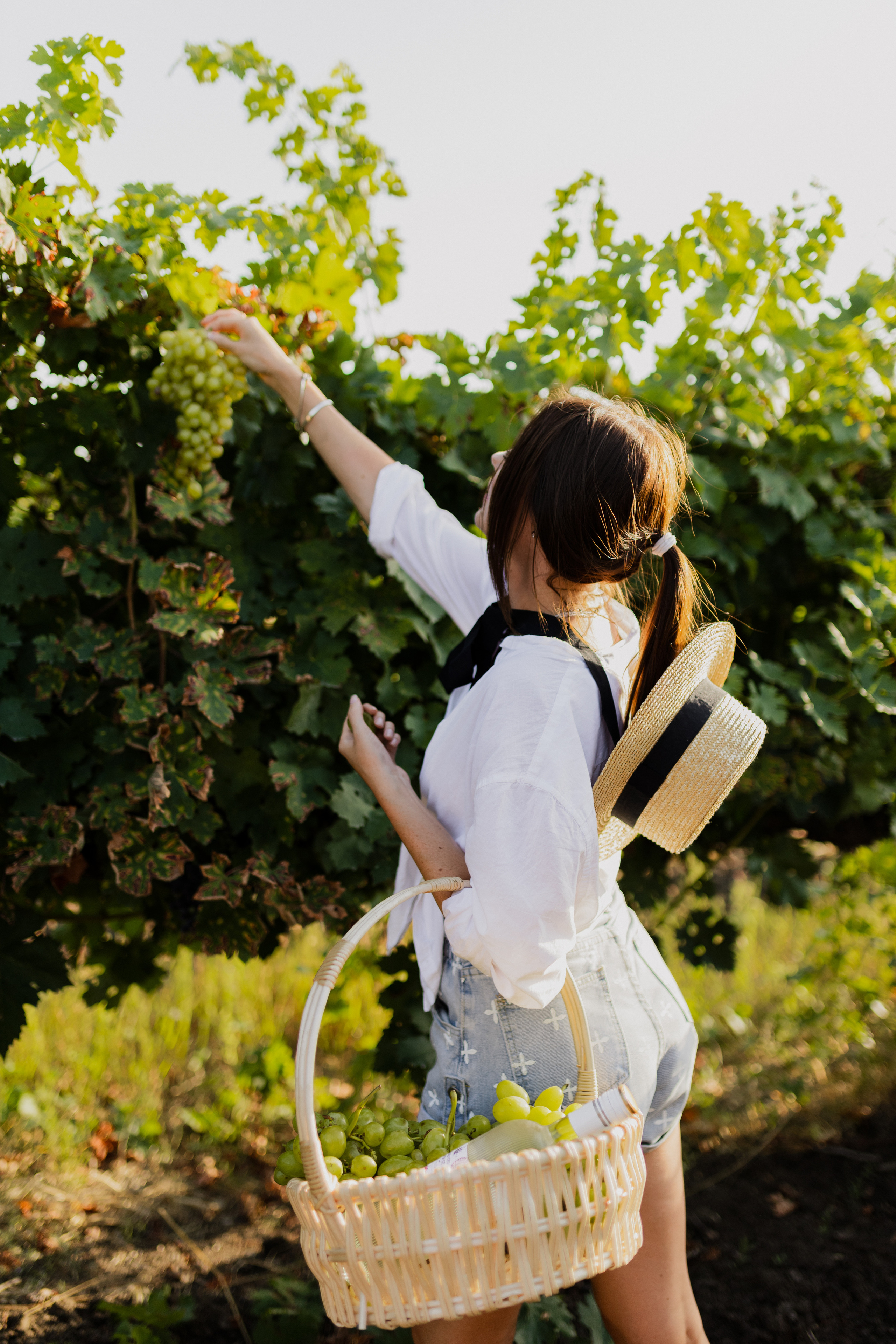 История в виноградниках. Фотограф в Краснодаре Юлия Перкунова