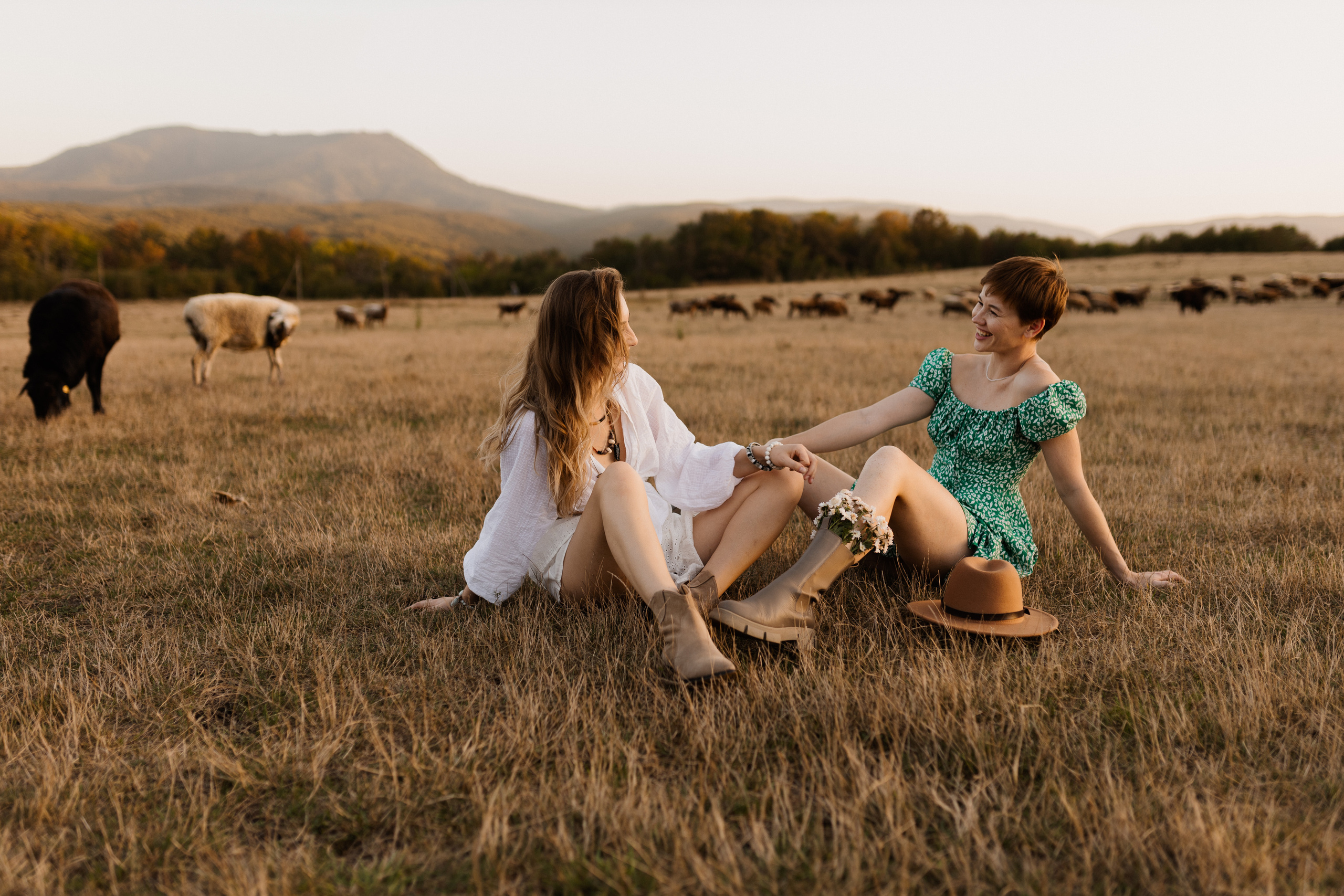 Лошадиная ферма. Фотограф в Краснодаре Юлия Перкунова