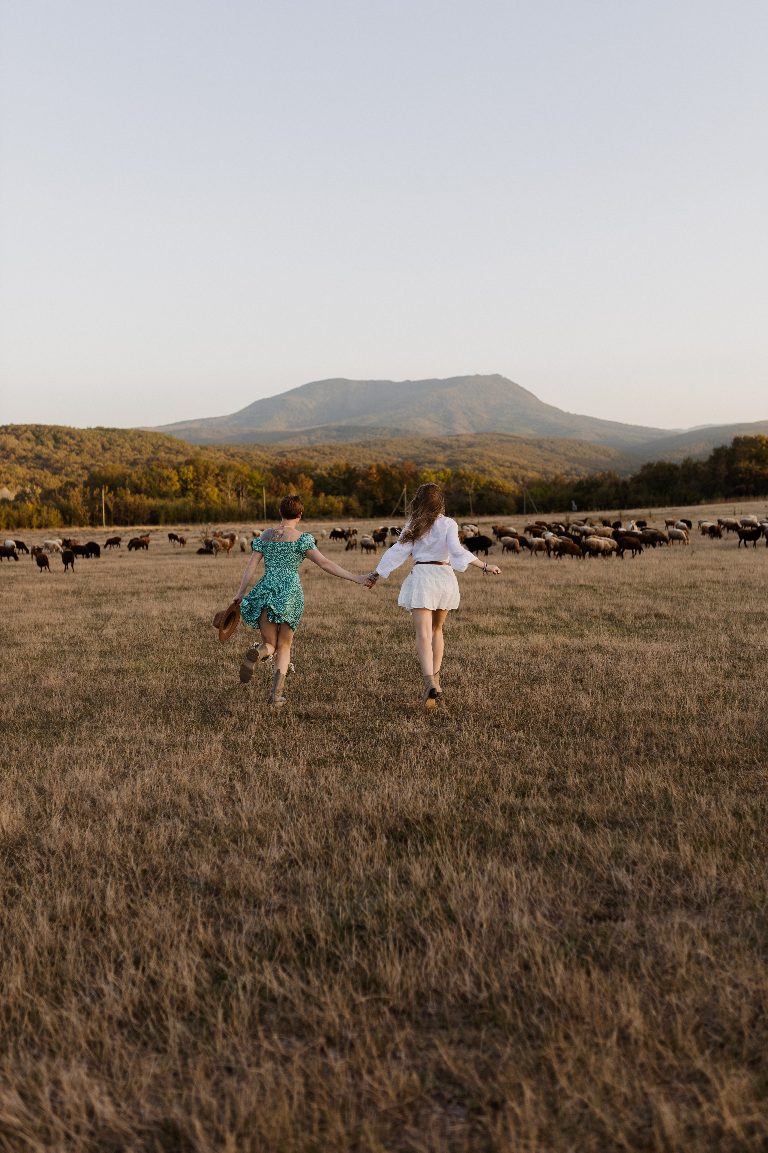 Лошадиная ферма. Фотограф в Краснодаре Юлия Перкунова