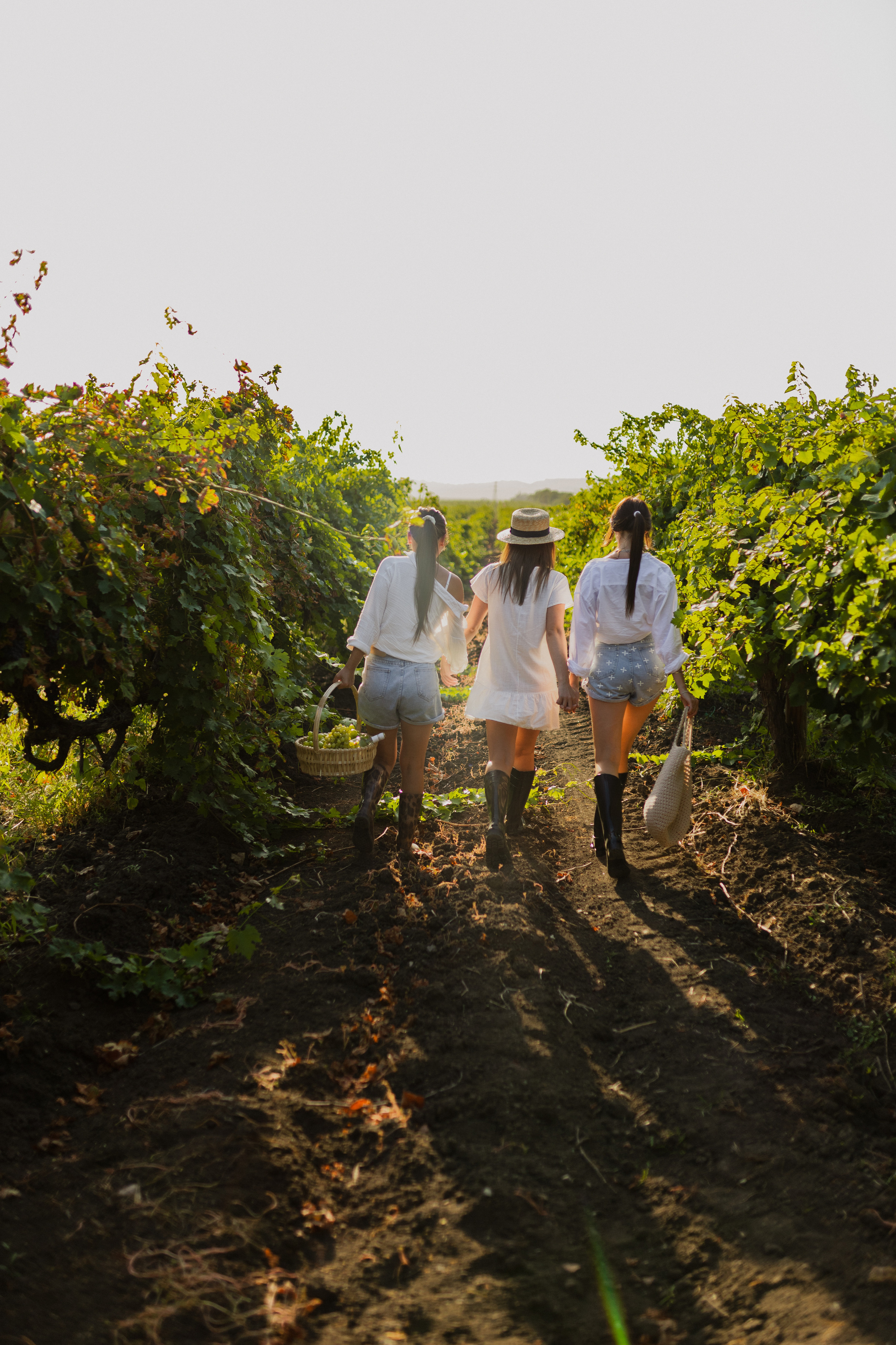 История в виноградниках. Фотограф в Краснодаре Юлия Перкунова