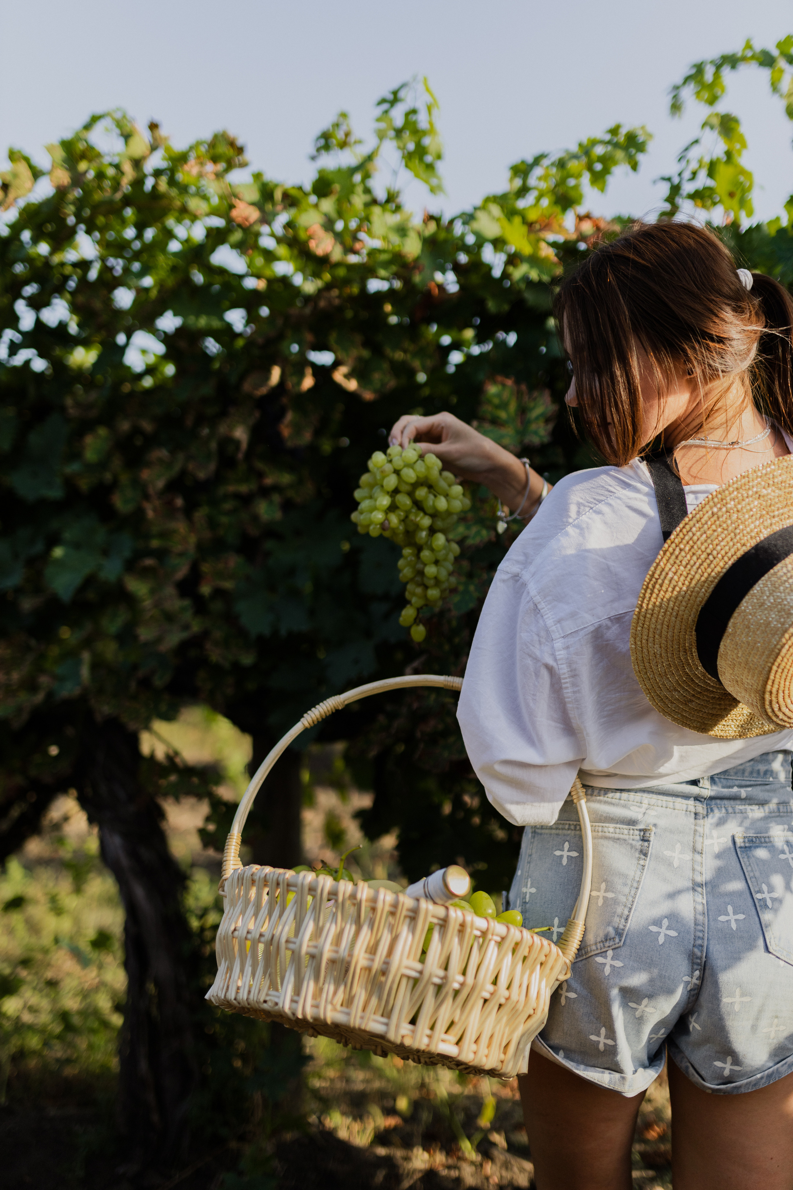 История в виноградниках. Фотограф в Краснодаре Юлия Перкунова
