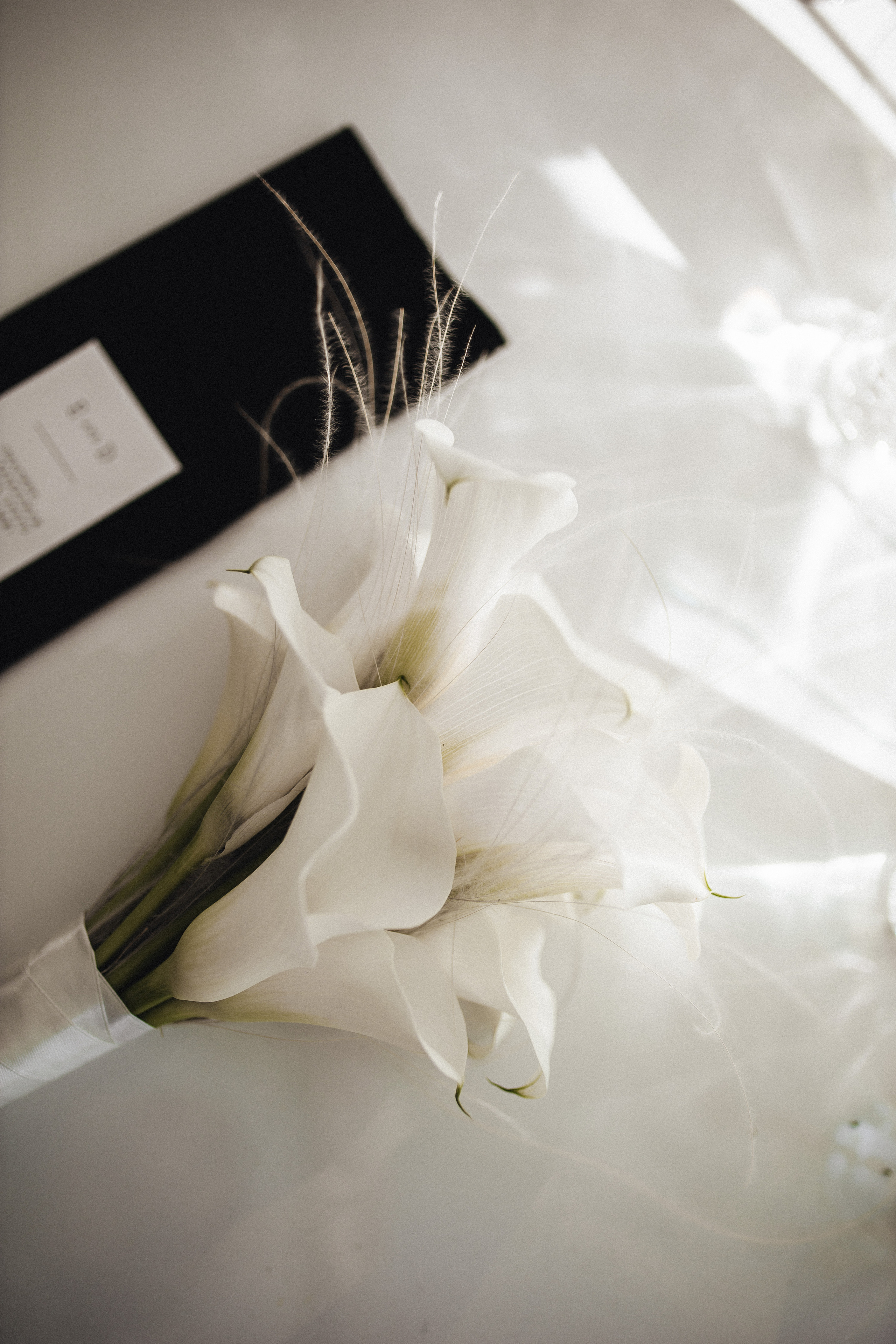 Дарья + Евгений. Фотограф в Краснодаре Юлия Перкунова