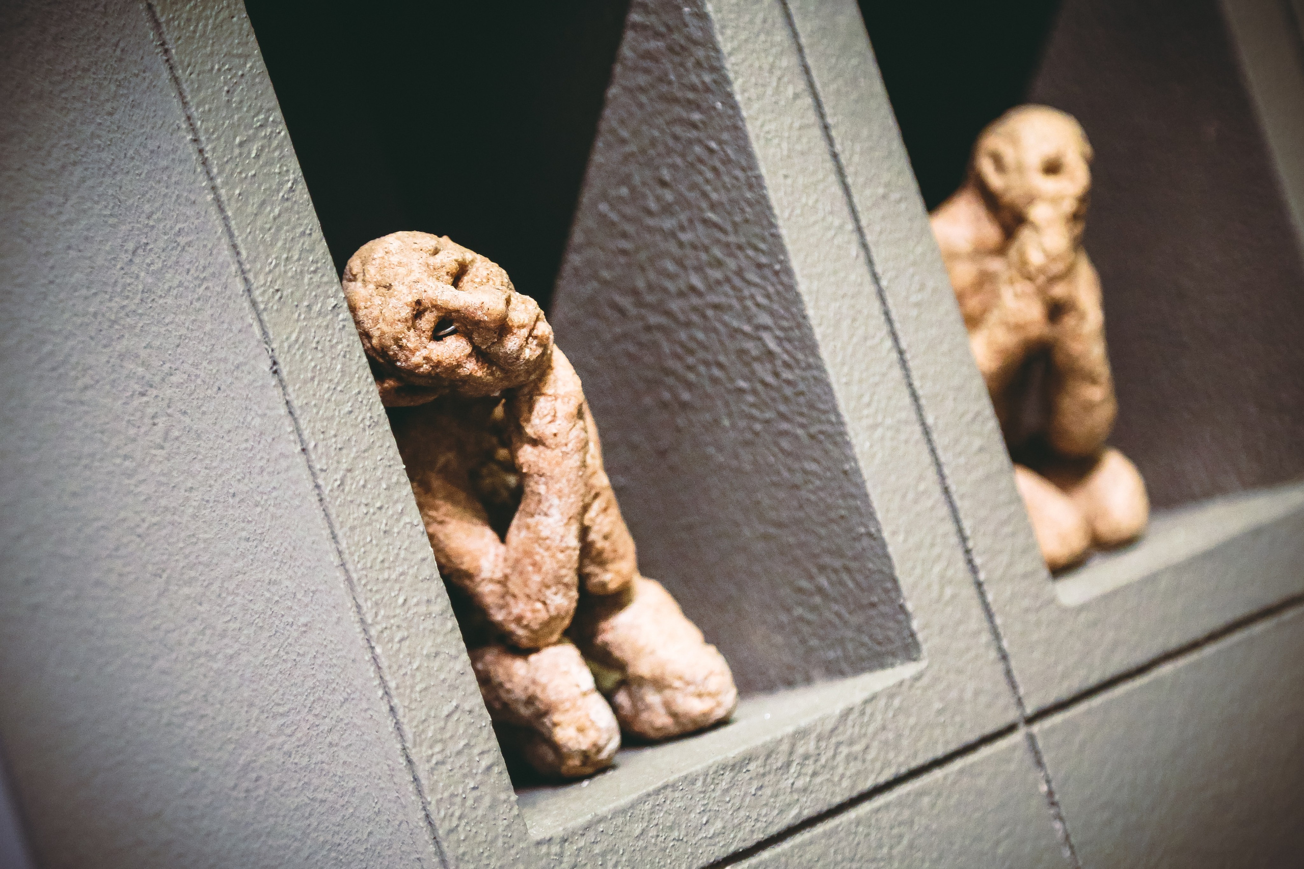 VIII Московская биеннале современного искусства. Дарья Письменюк / Darya Leitstern — фотограф, музыкант, журналист, путешественник