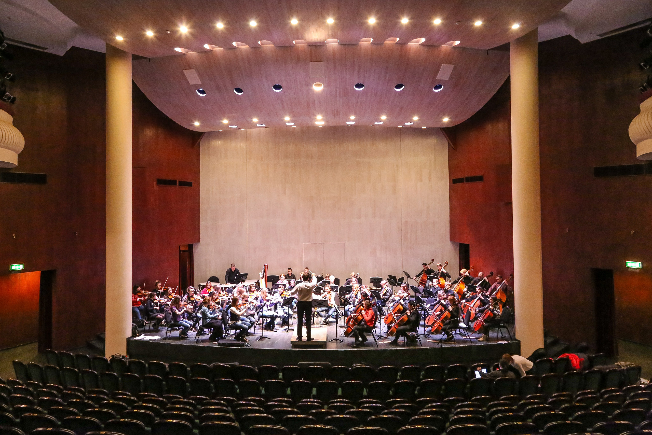 Концерт в Доме музыки к Международному дню борьбы с эпилепсией. Дарья Письменюк / Darya Leitstern — фотограф, музыкант, журналист, путешественник