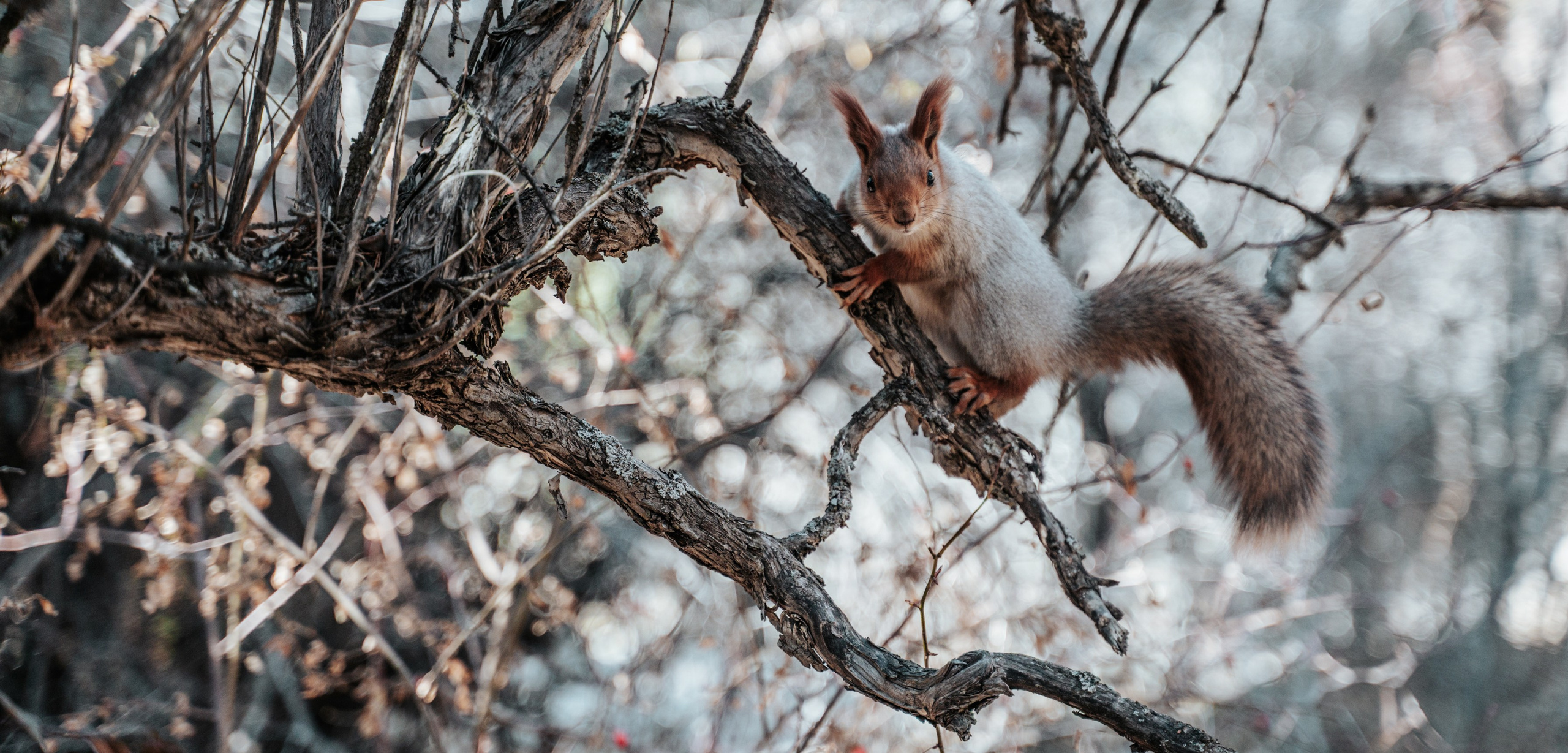 Путешествия. Портретный фотограф в Москве Эмиль Халиков