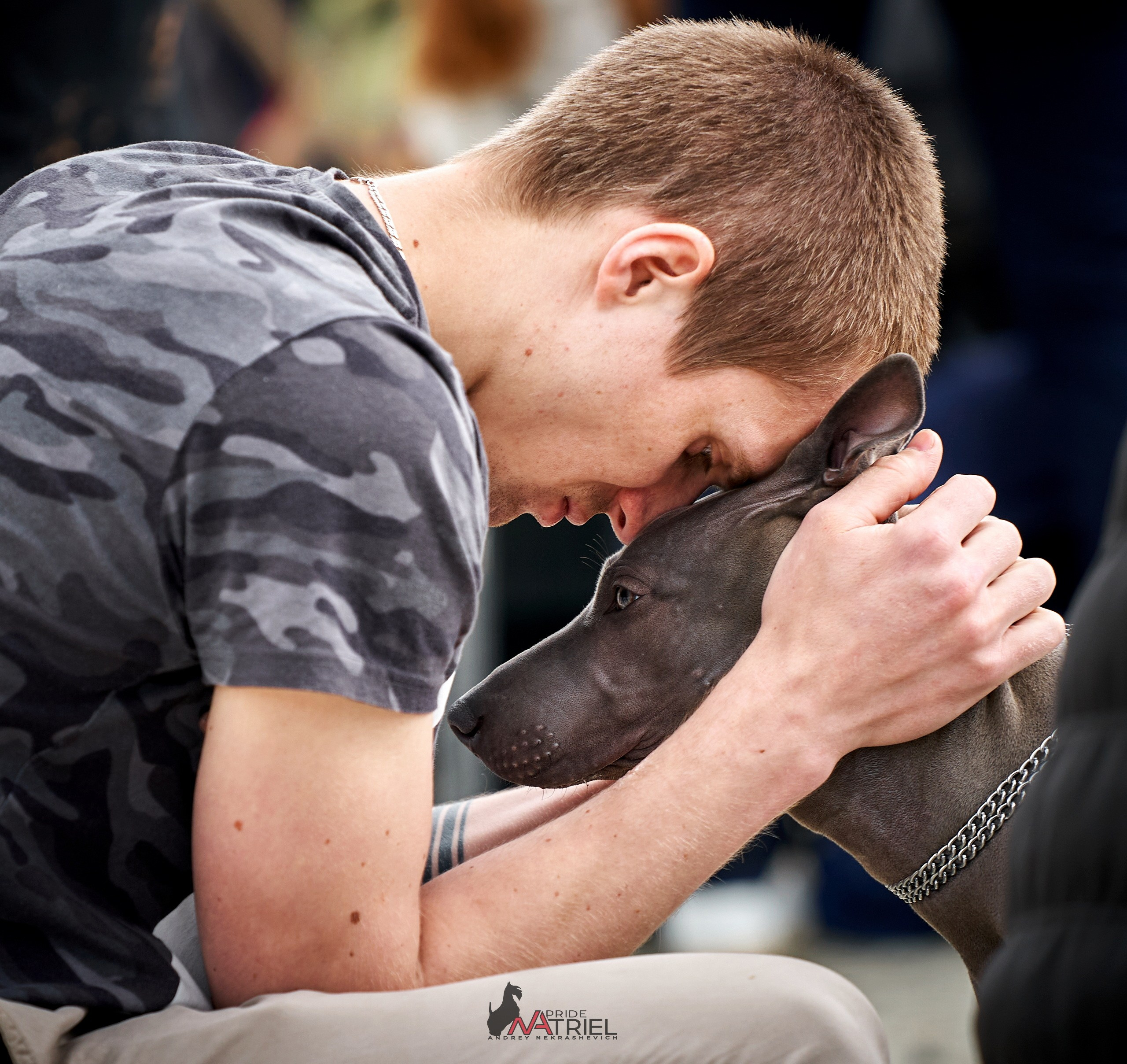 Картинки с выставки — галерея NATRIEL