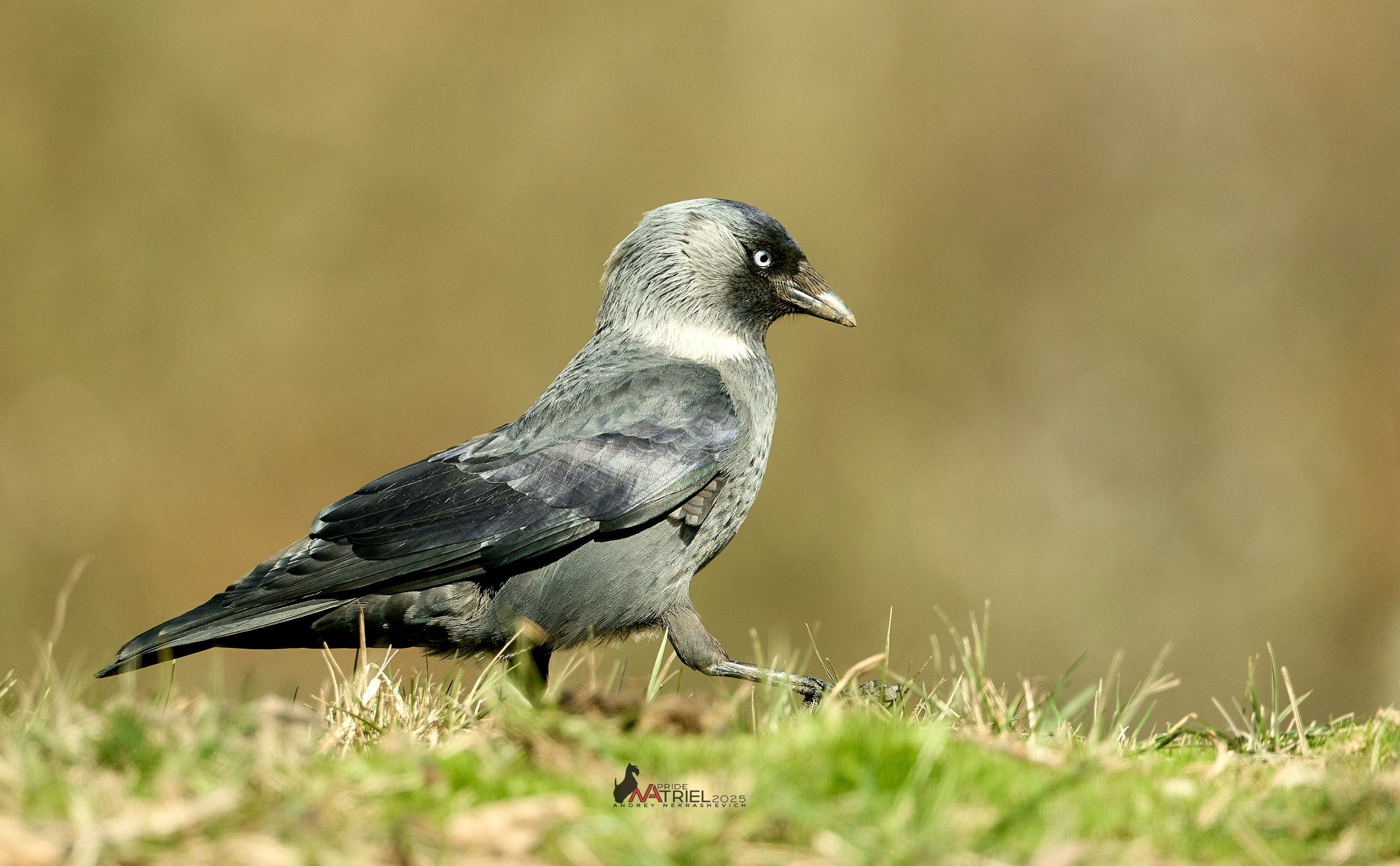 Природа в апреле