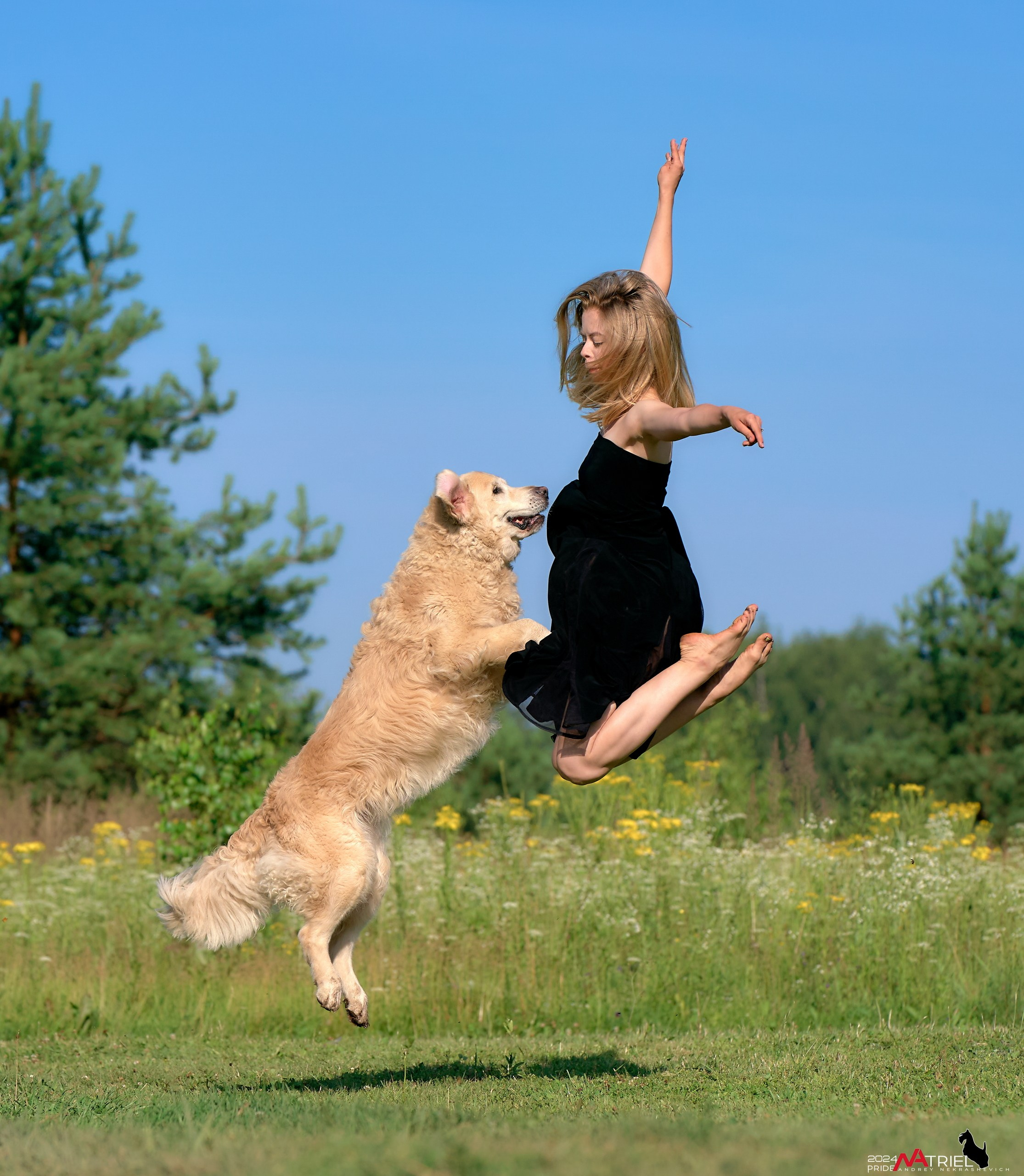 Репортаж из кинологического лагеря