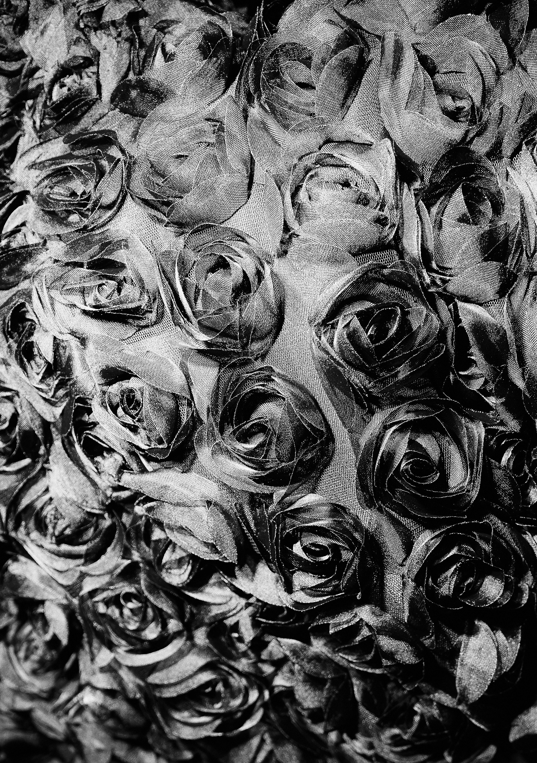 VISA FWA SEASON 10. Фотограф Алматы | Весь мир — Никита Колодин