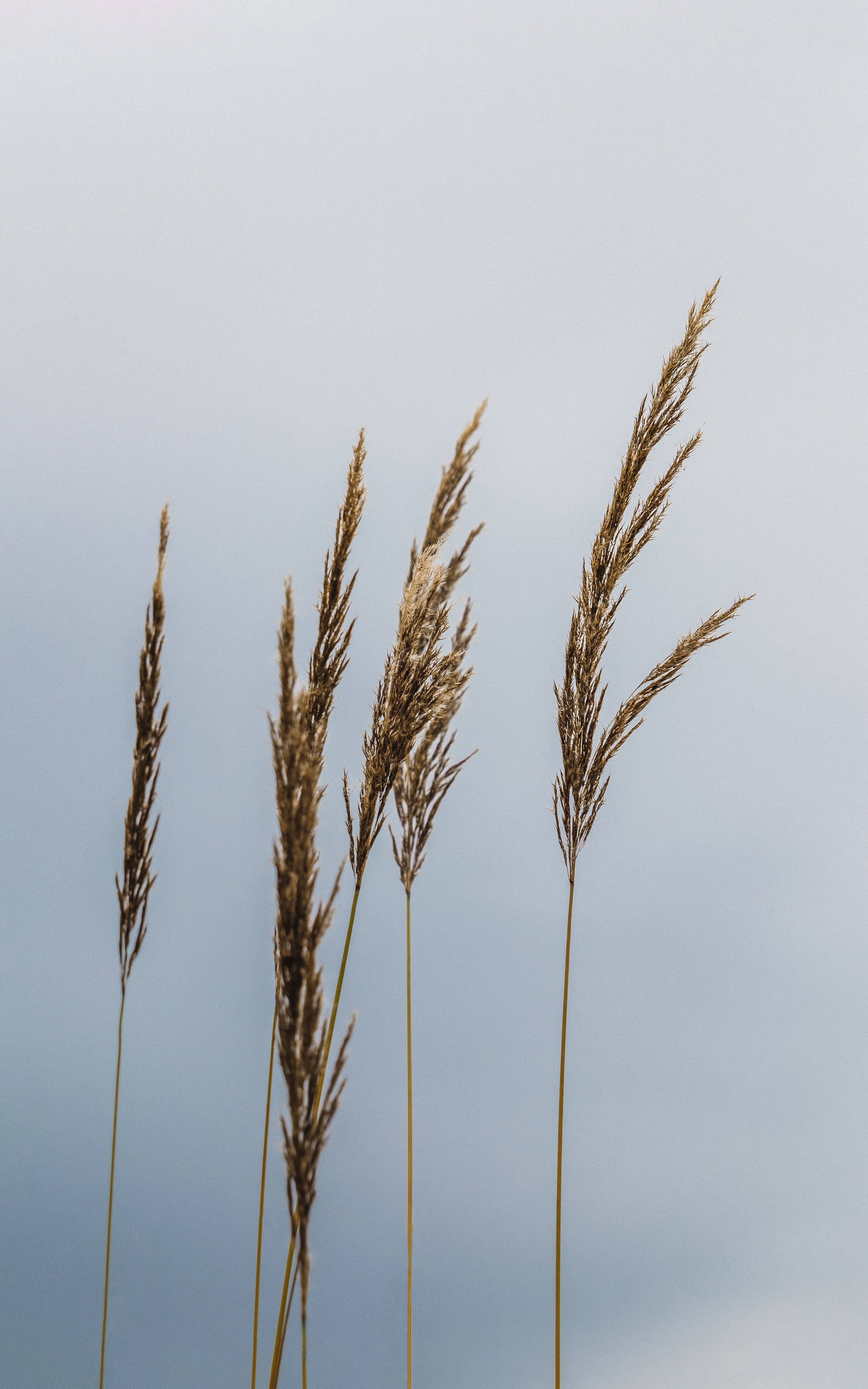 Жизнь. Фотограф Алматы | Весь мир — Никита Колодин