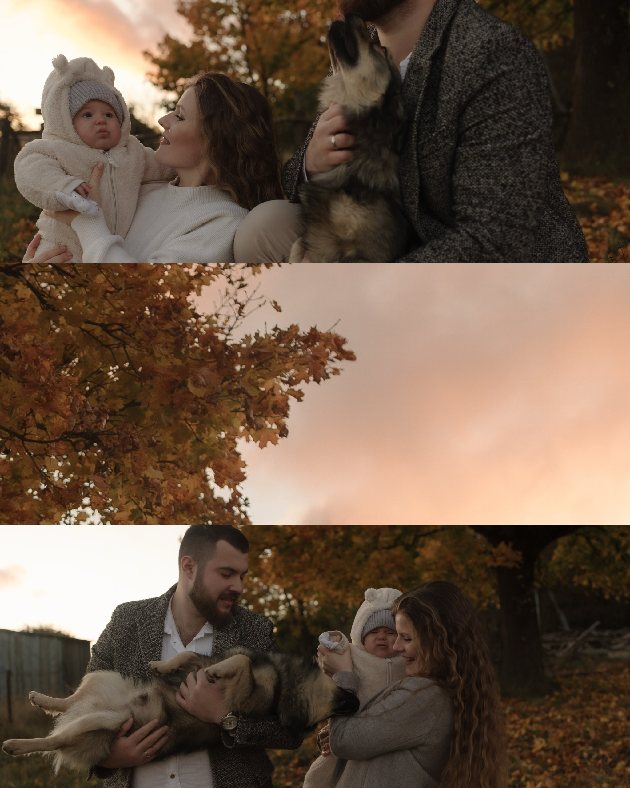 Семейные фотосесии 2025