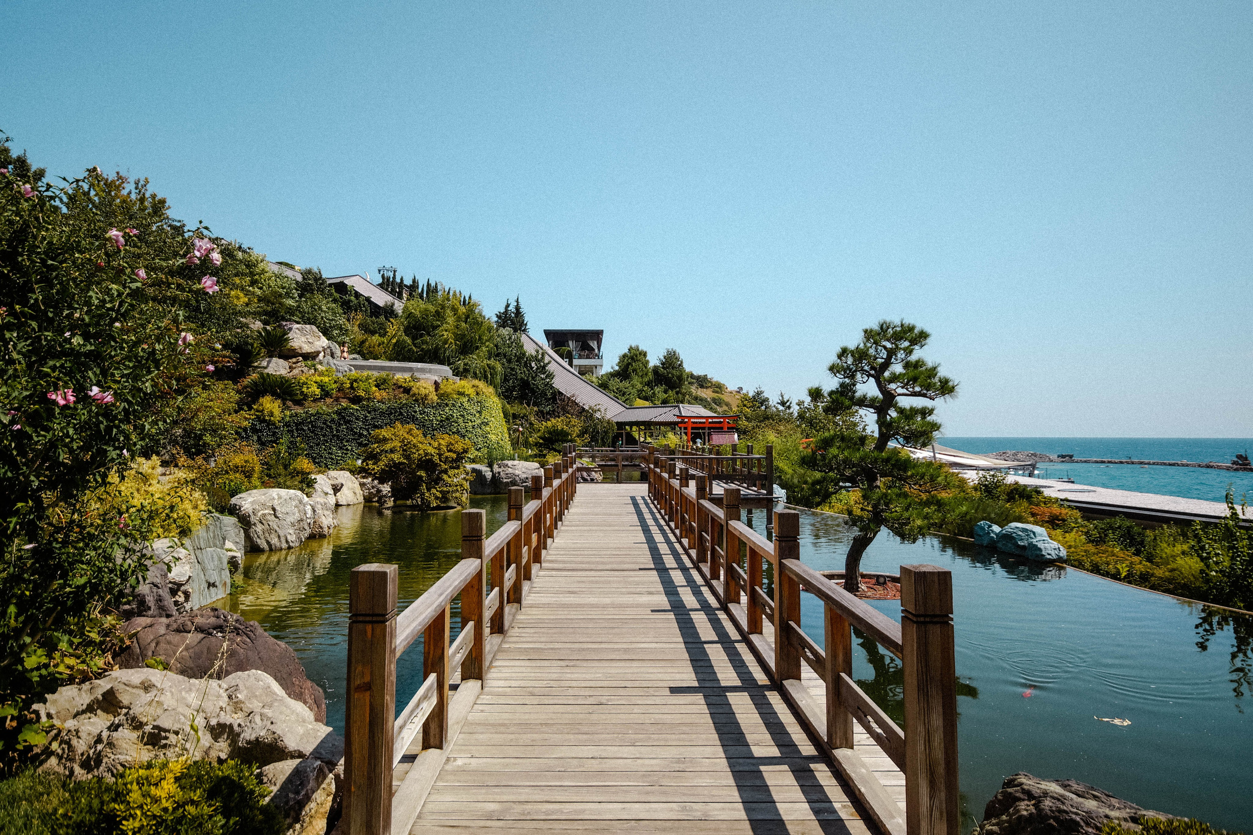 Автор: Мария Кокорина