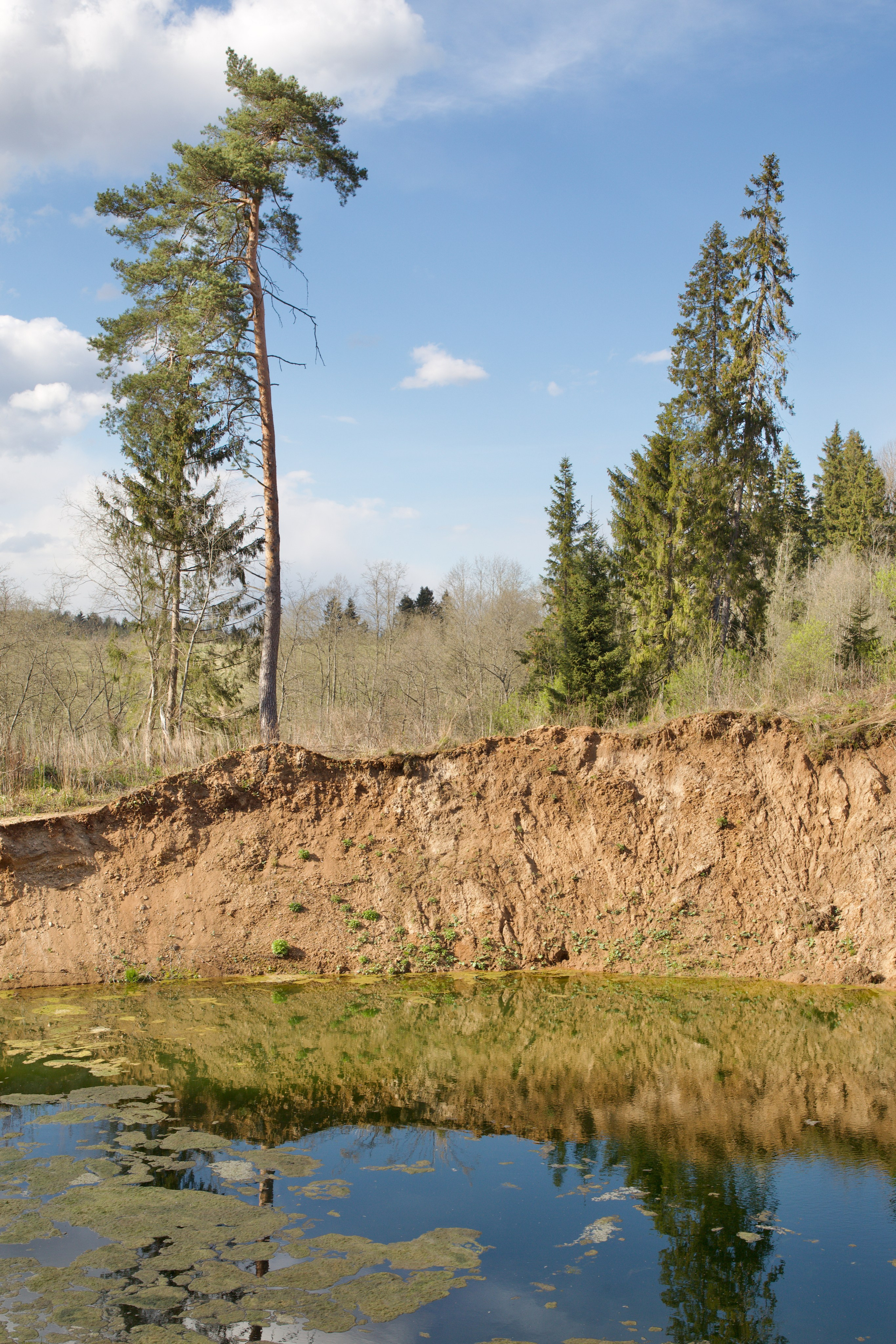Чудесная природа. Школьные выпускные альбомы в Москве Марина Николаева