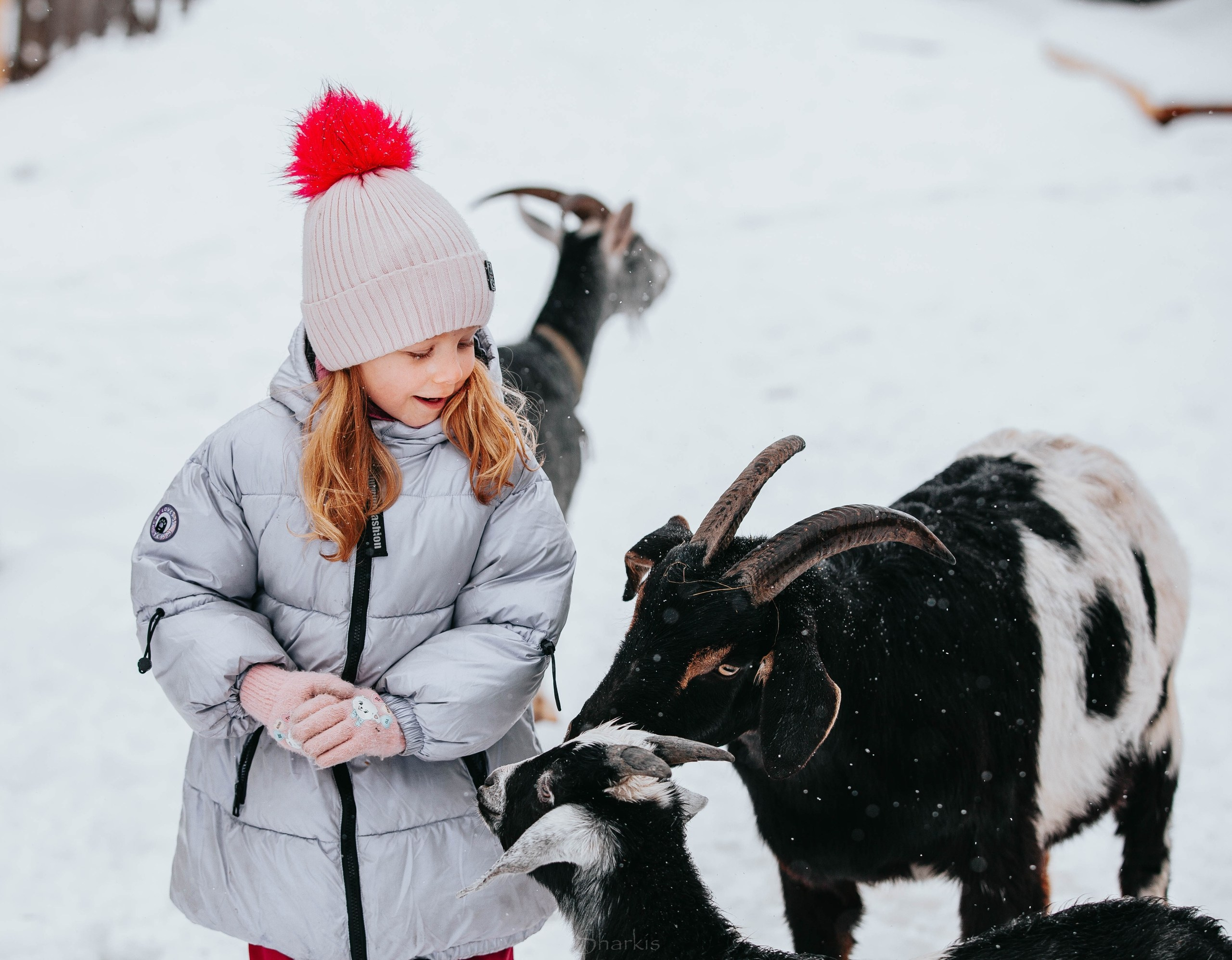 Семья. Фотограф Елизавета Филатова