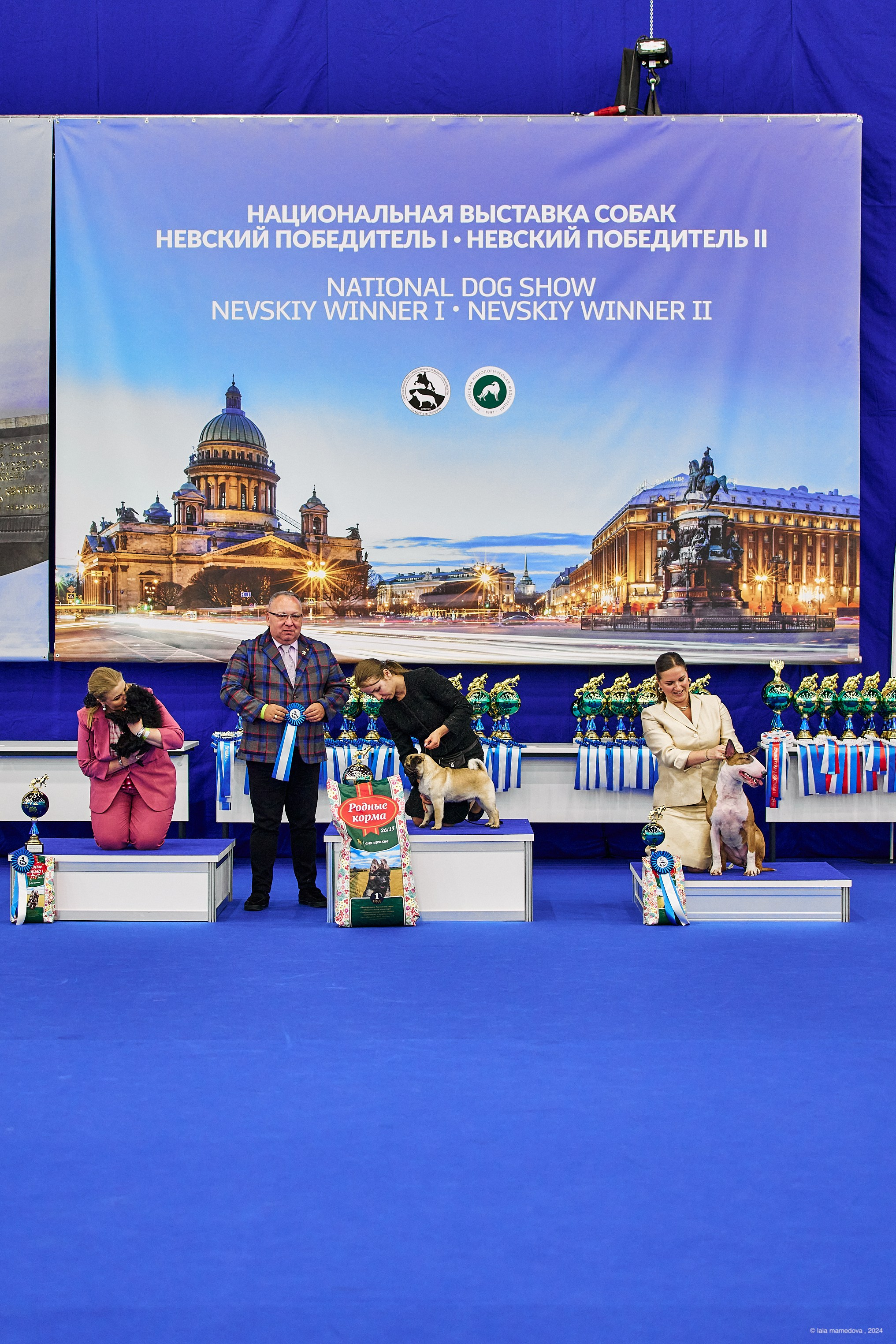 РЕЙТИНГОВАЯ ВЫСТАВКА СОБАК ВСЕХ ПОРОД С ОСОБЫМ СТАТУСОМ"НЕВСКИЙ ПОБЕДИТЕЛЬ-2024-1"