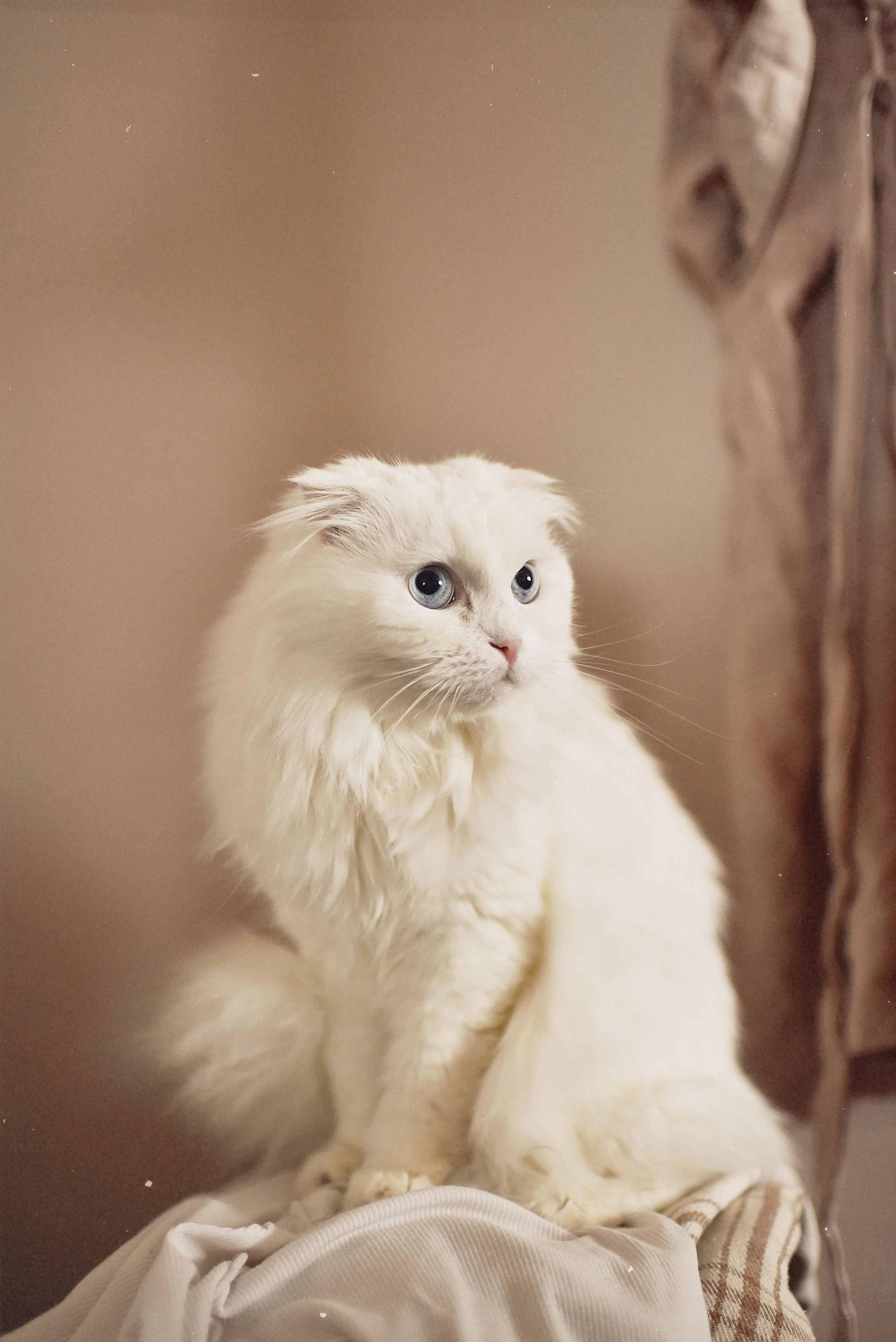 МАРГО, САША и ШАНТИ | скоро нас станет больше. Свадебный и семейный фотограф РИТА БОЧКАРЁВА