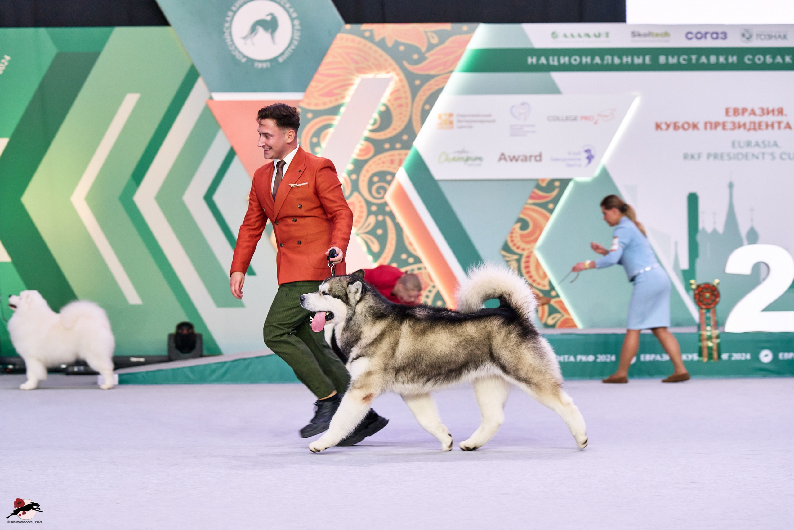 17.11.2024 «ЕВРАЗИЯ. КУБОК СНГ 2024»