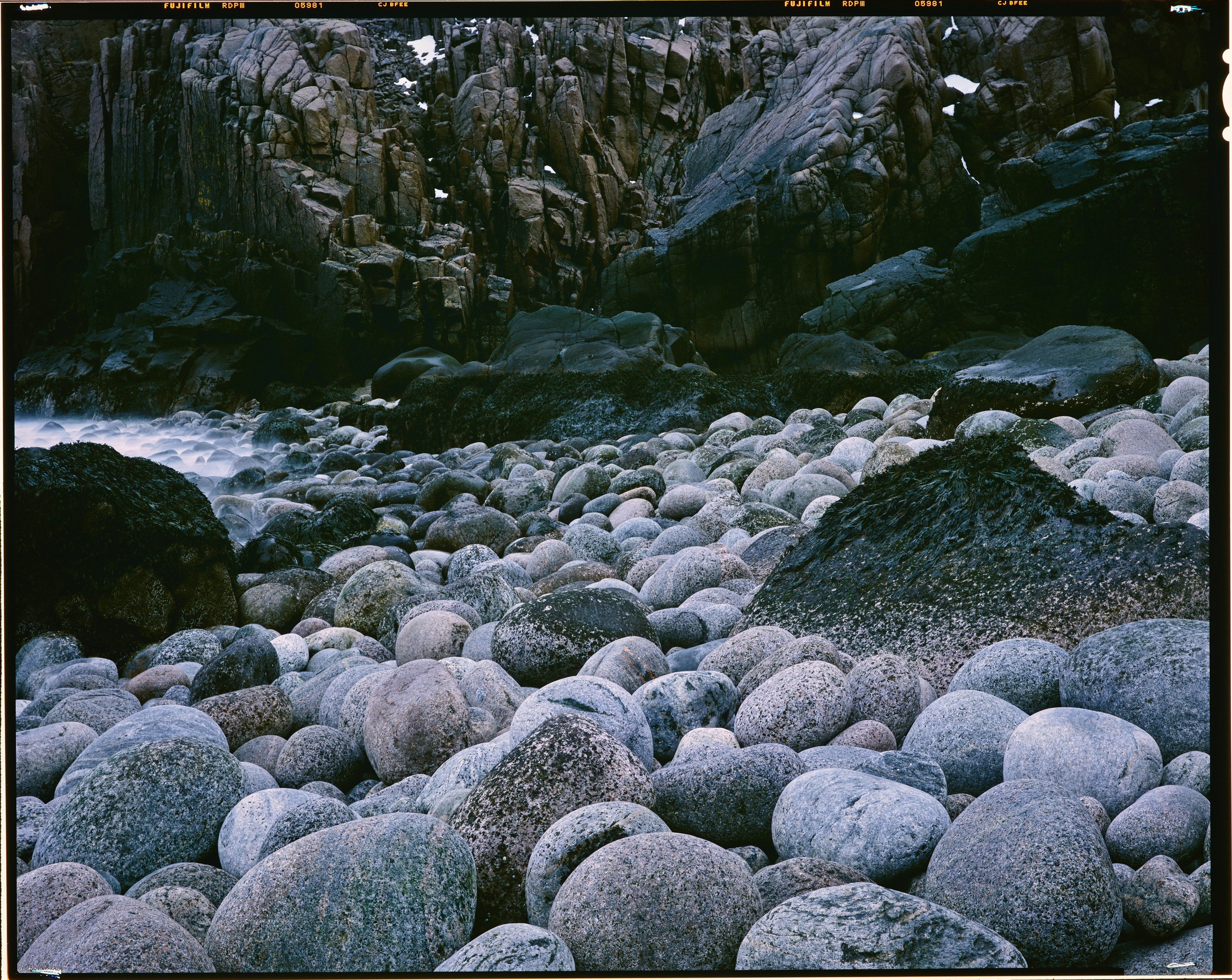 Полевая фотосъёмка форматными камерами. Multica. Мастерская камер большого формата