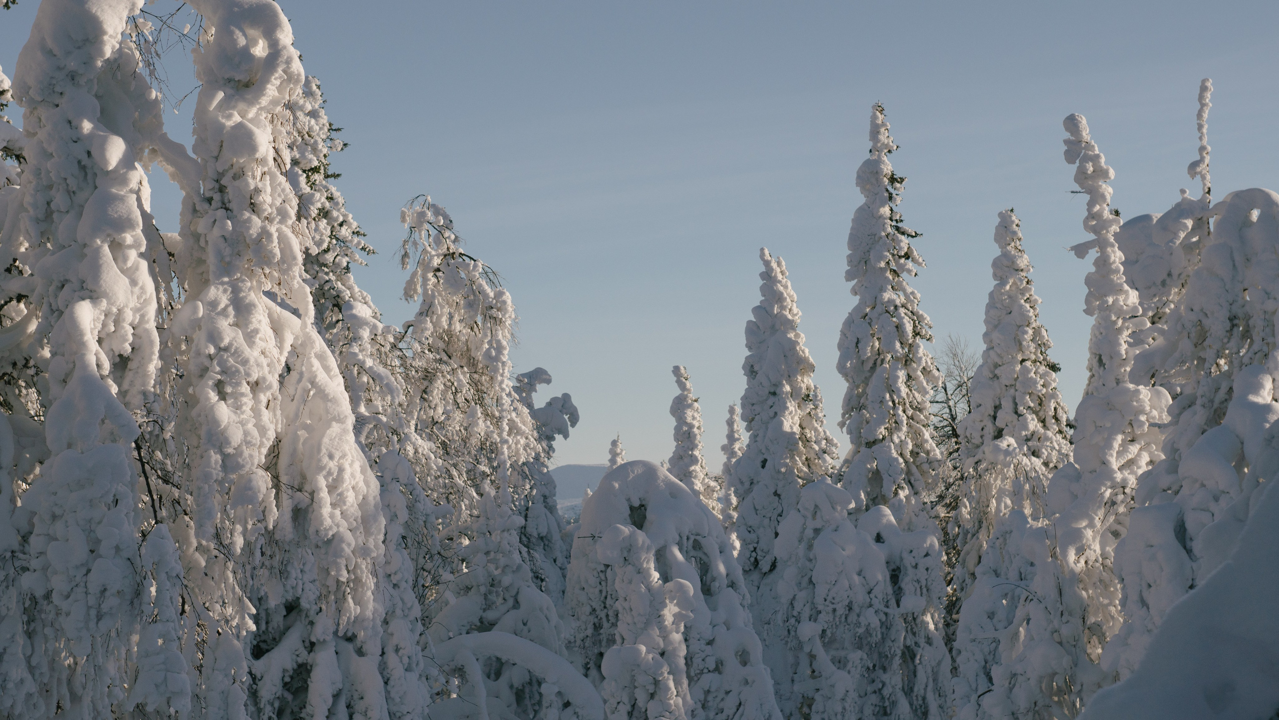 Блог про Южный Урал | Тюлюк. NECULTURED PHOTOGRAPHER